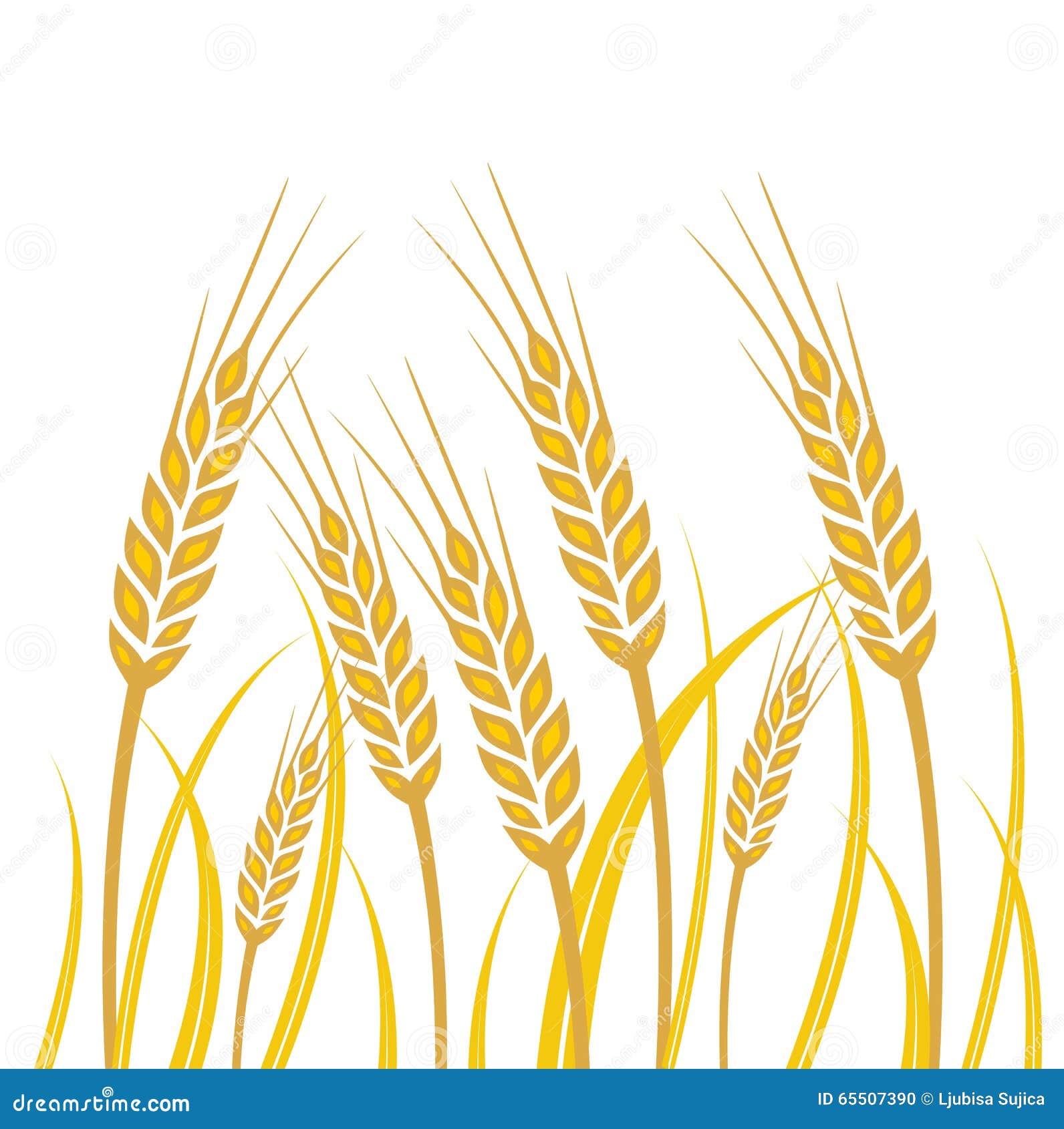 Wheat Field Drawing Stock Illustrations – 5,957 Wheat Field Drawing Stock  Illustrations, Vectors \u0026 Clipart - Dreamstime, image size:1592x1690