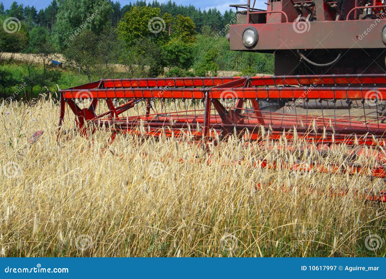 Field Works stock image. Image of cereal, feed, industry 10617997