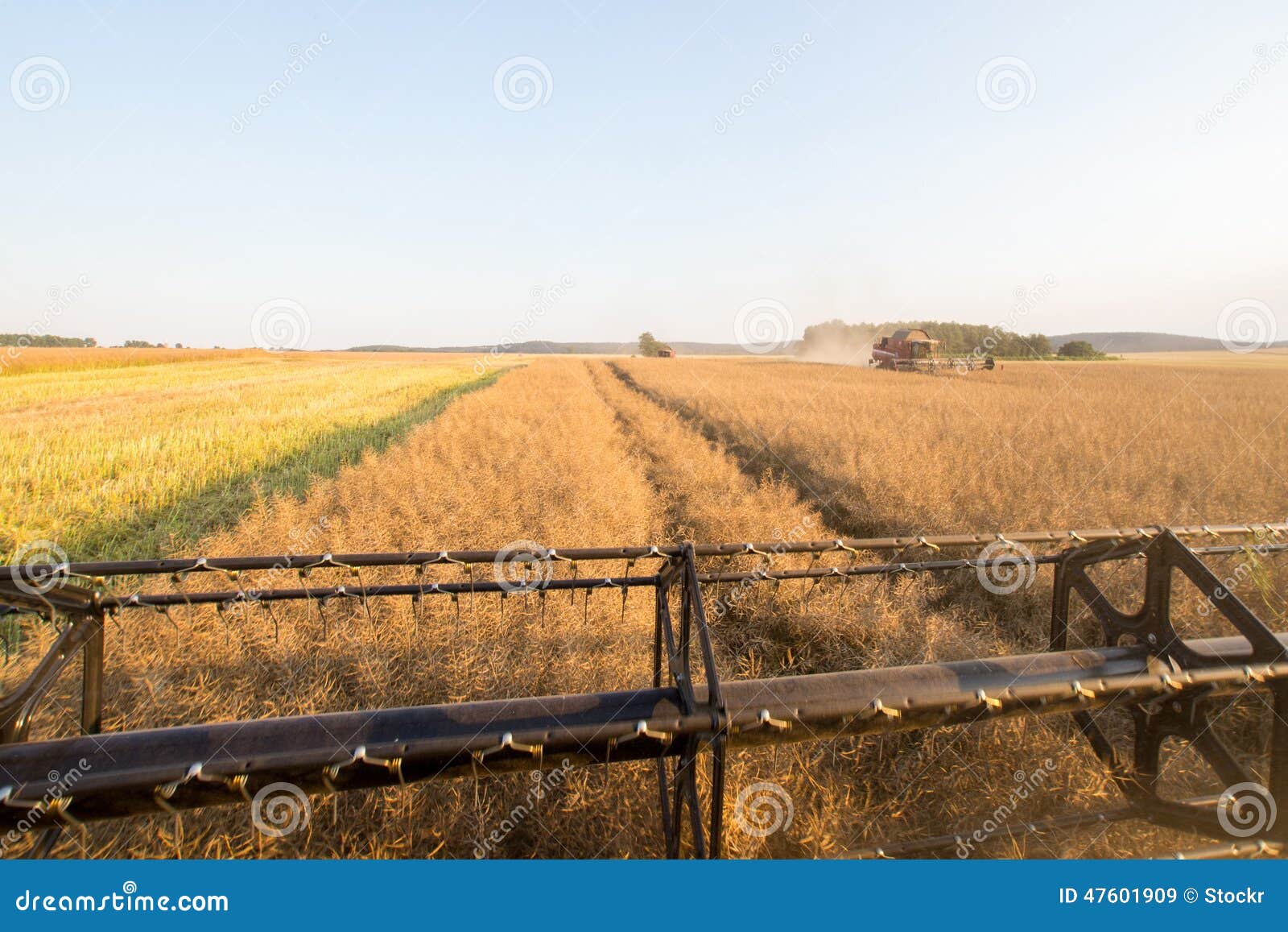 Field works stock image. Image of idyllic, occupation 47601909
