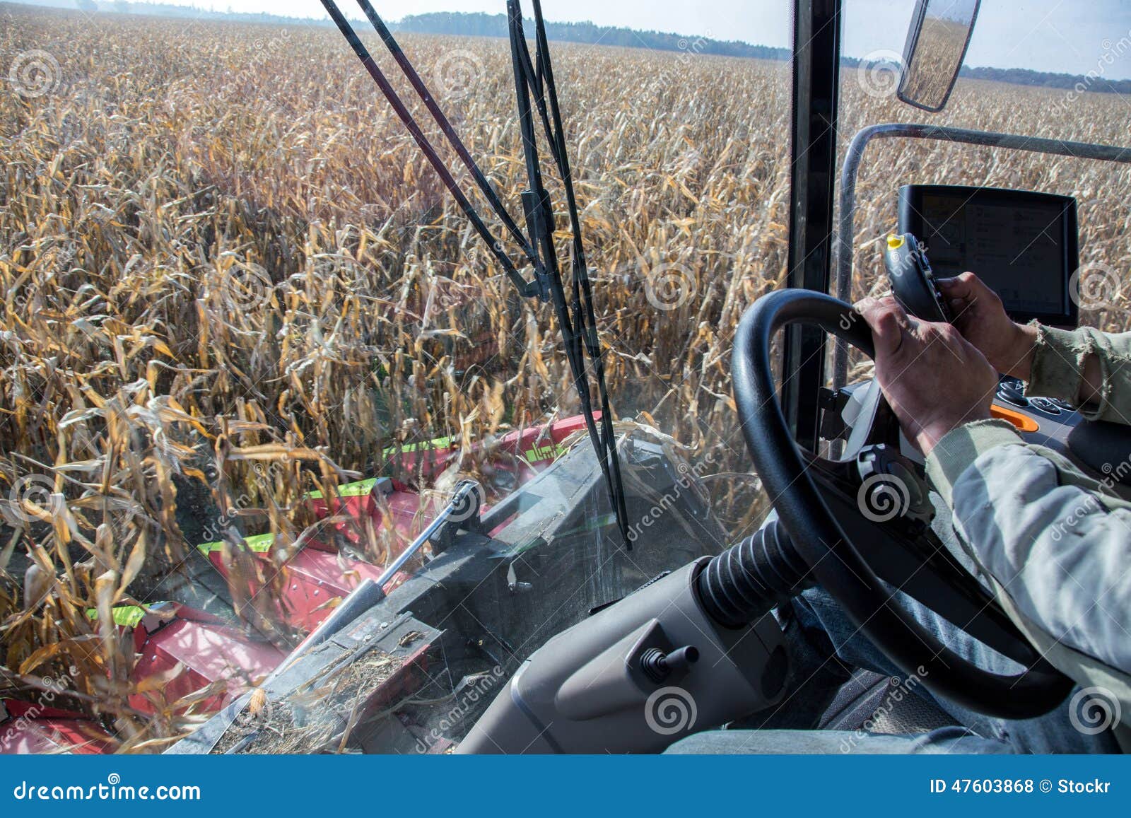 Field works stock photo. Image of meadow, life, green 47603868