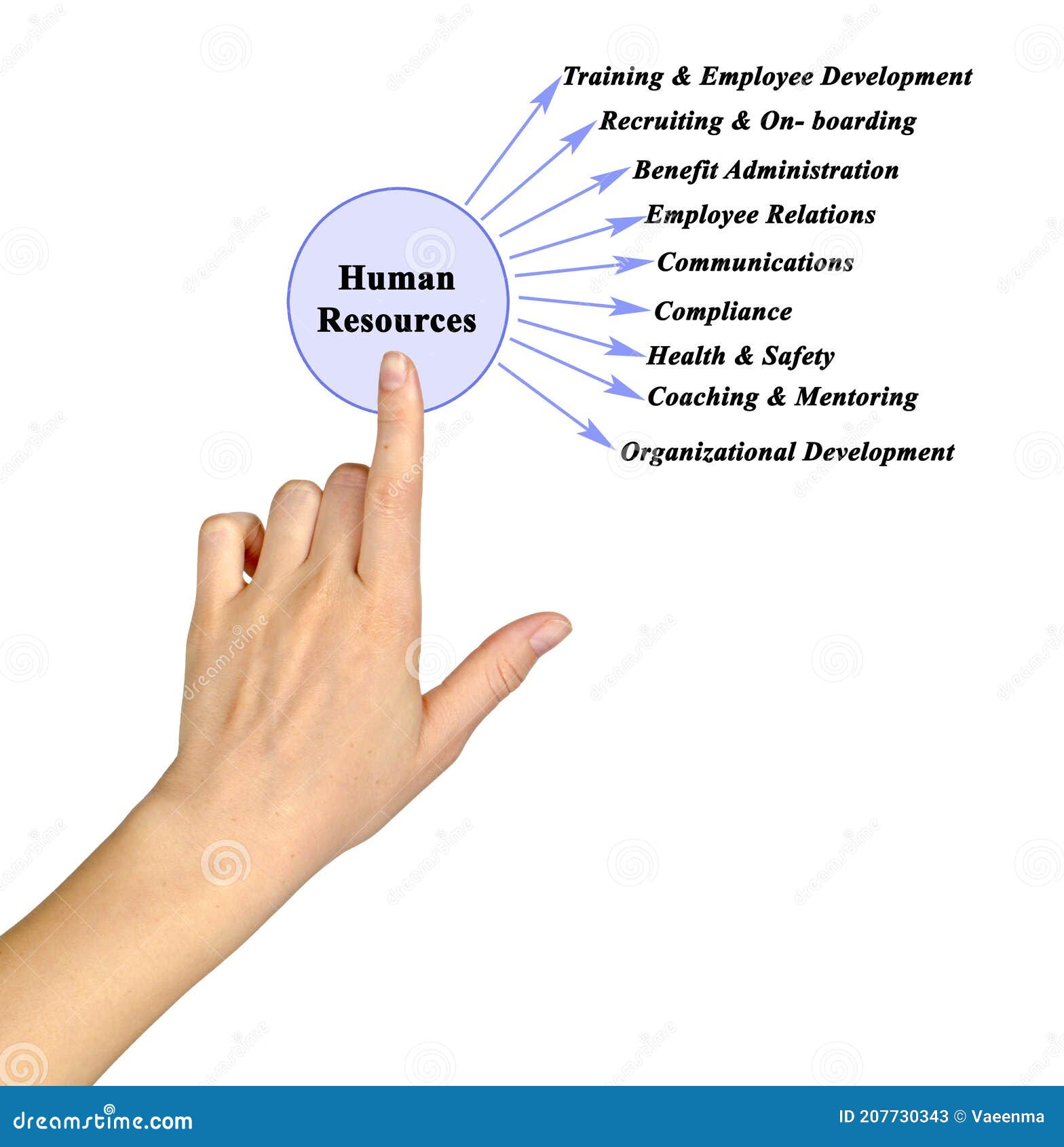 Fields of Attention of Human Resources Stock Image Image of diagram