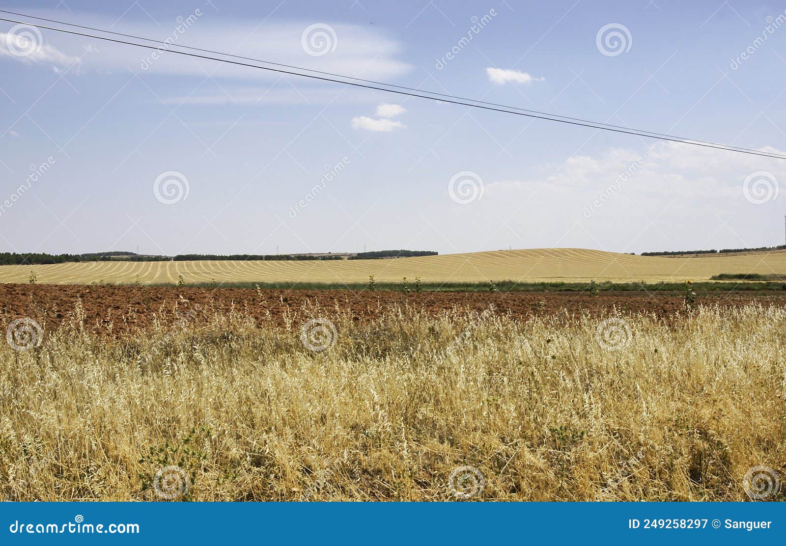 fields of castilla-la mancha