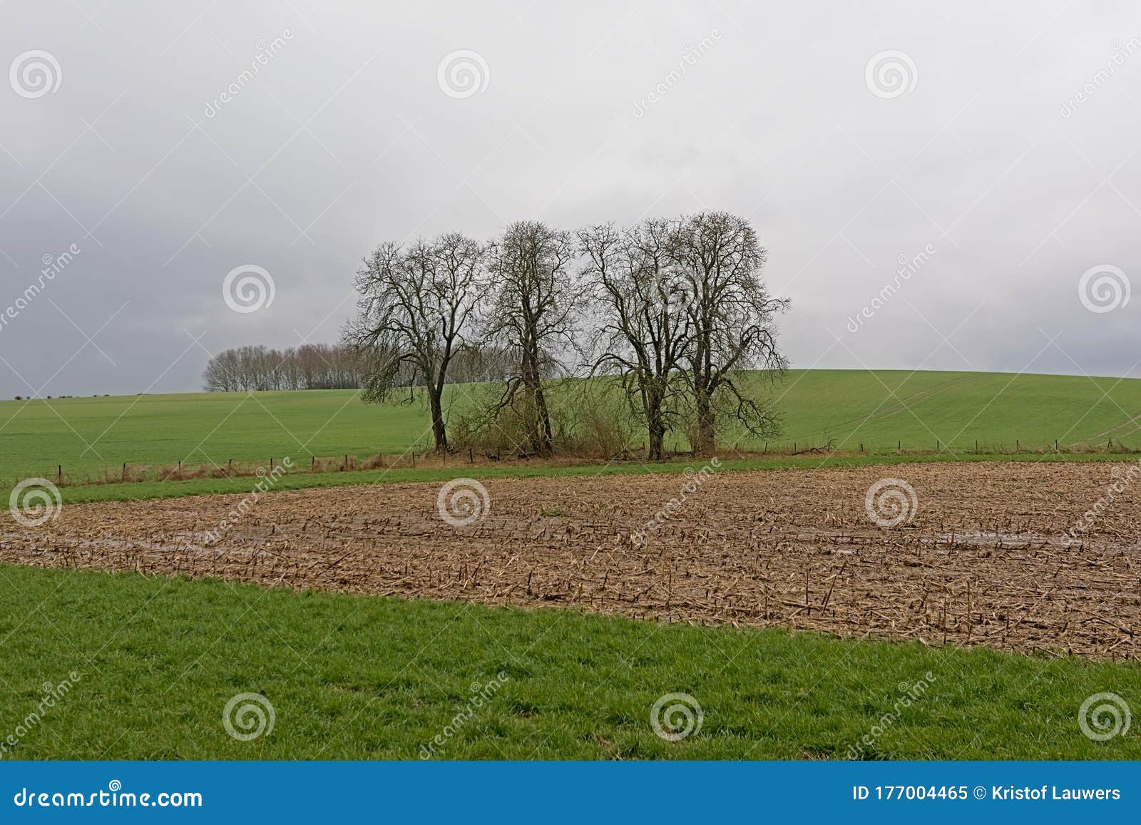 fields and meadows in the wallonian countryside