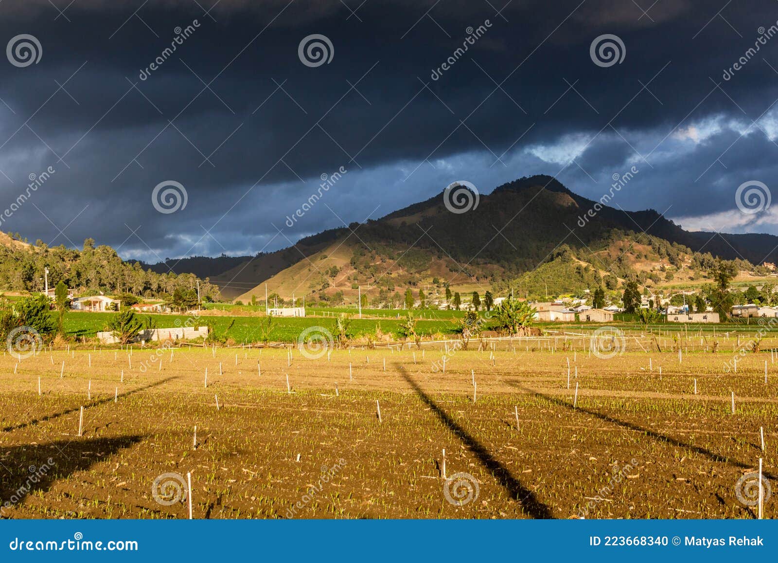 fields near constanza, dominican republ