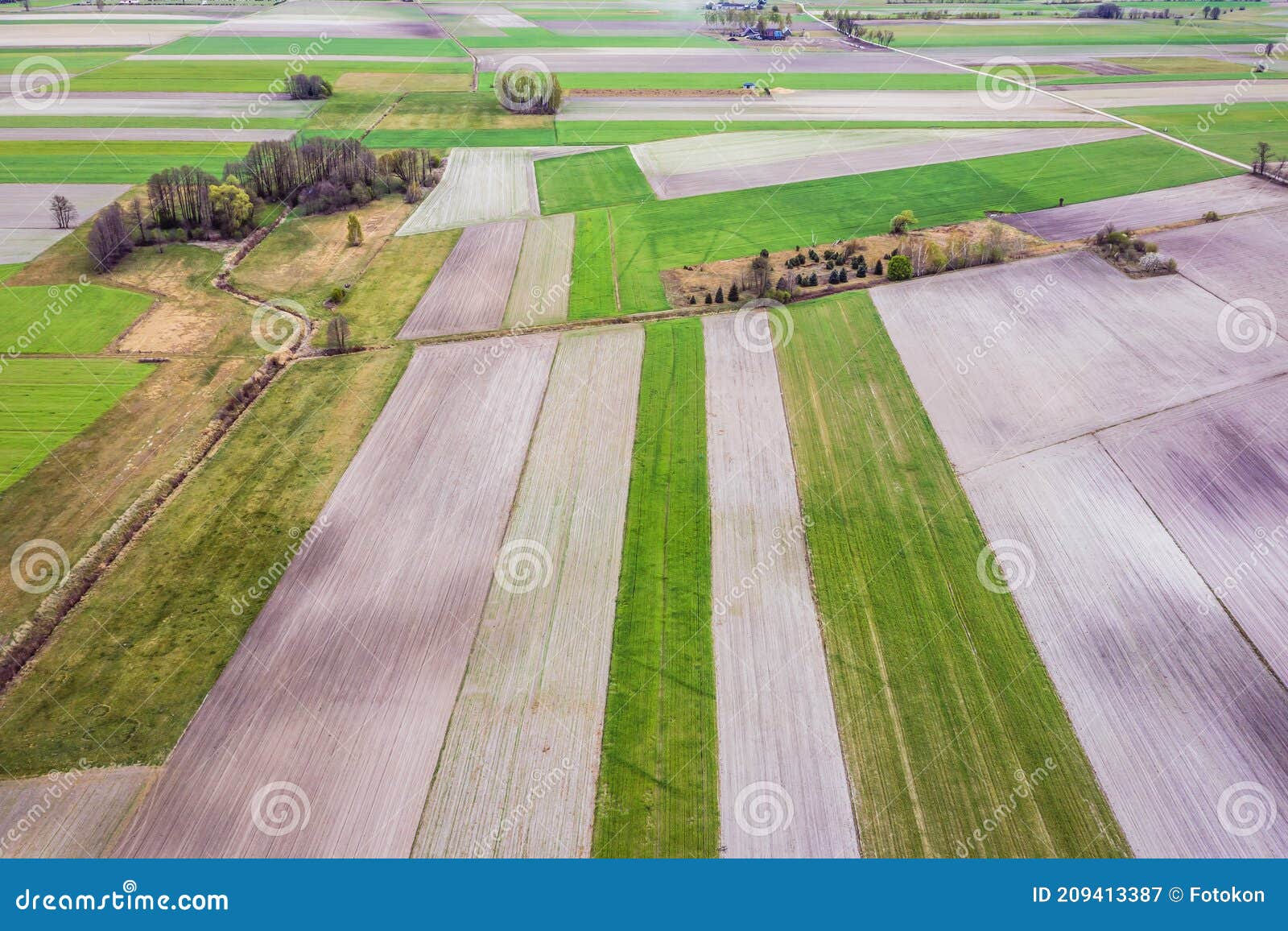 fields in poland, masovia region