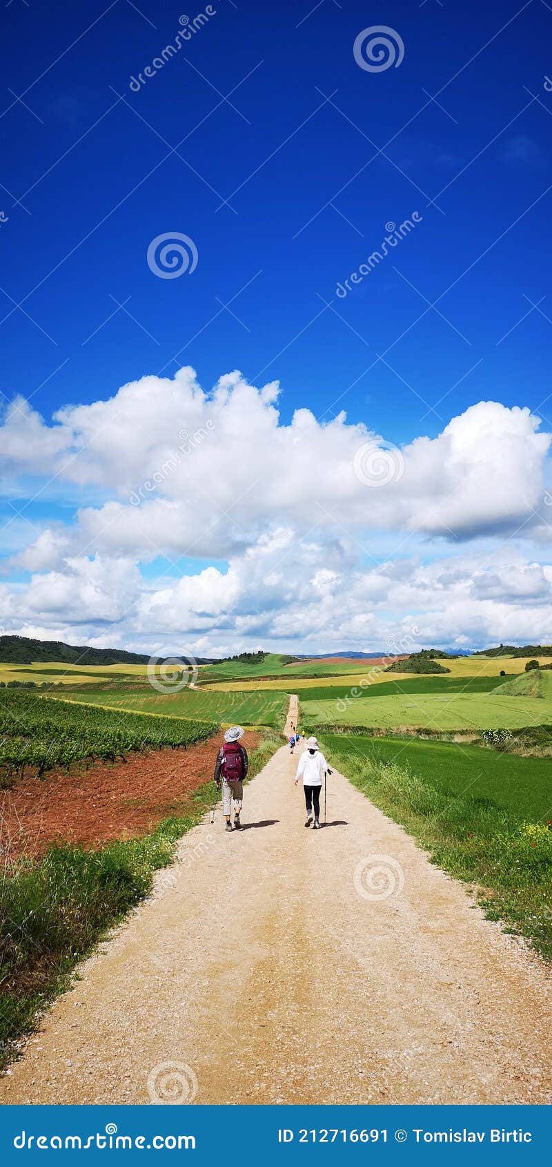 fields and sky in navarra, spain