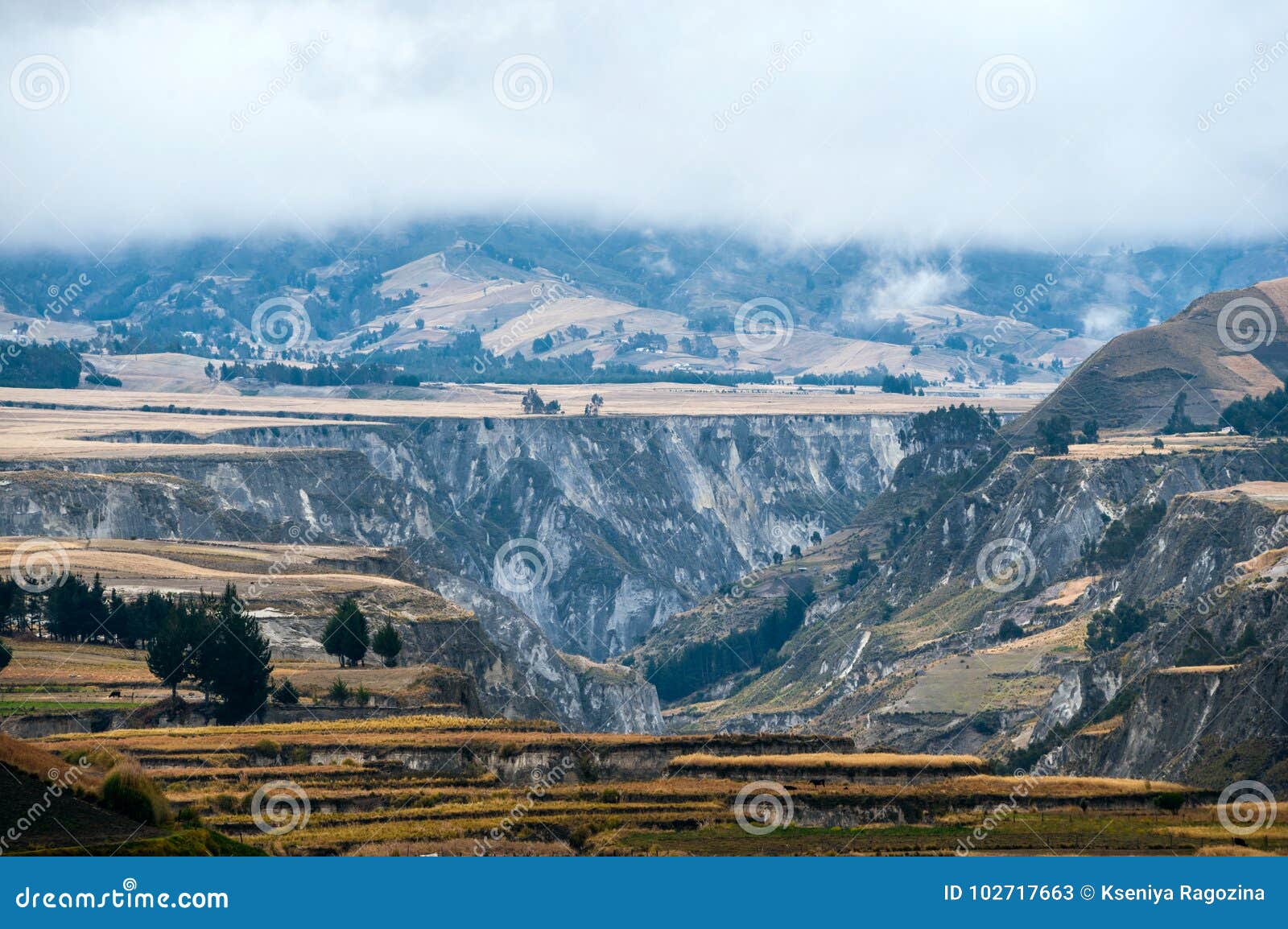 fields of zumbahua in ecuadorian altiplano