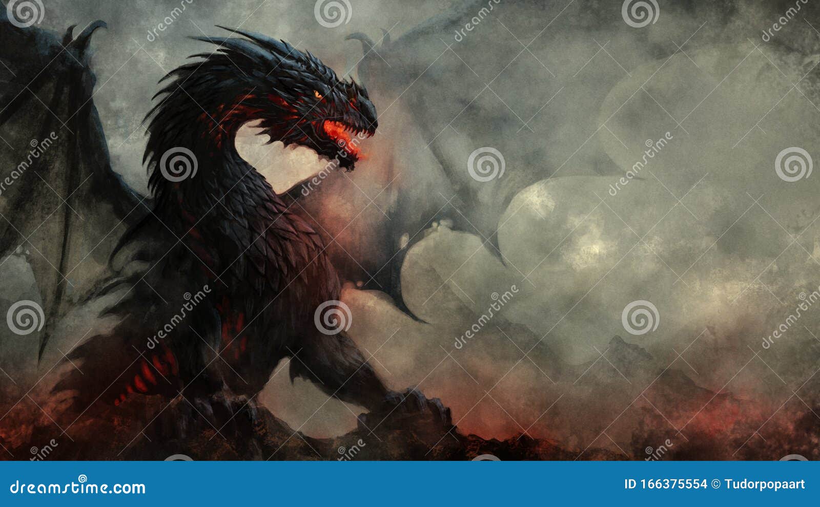 fierce winged black dragon fantasy 