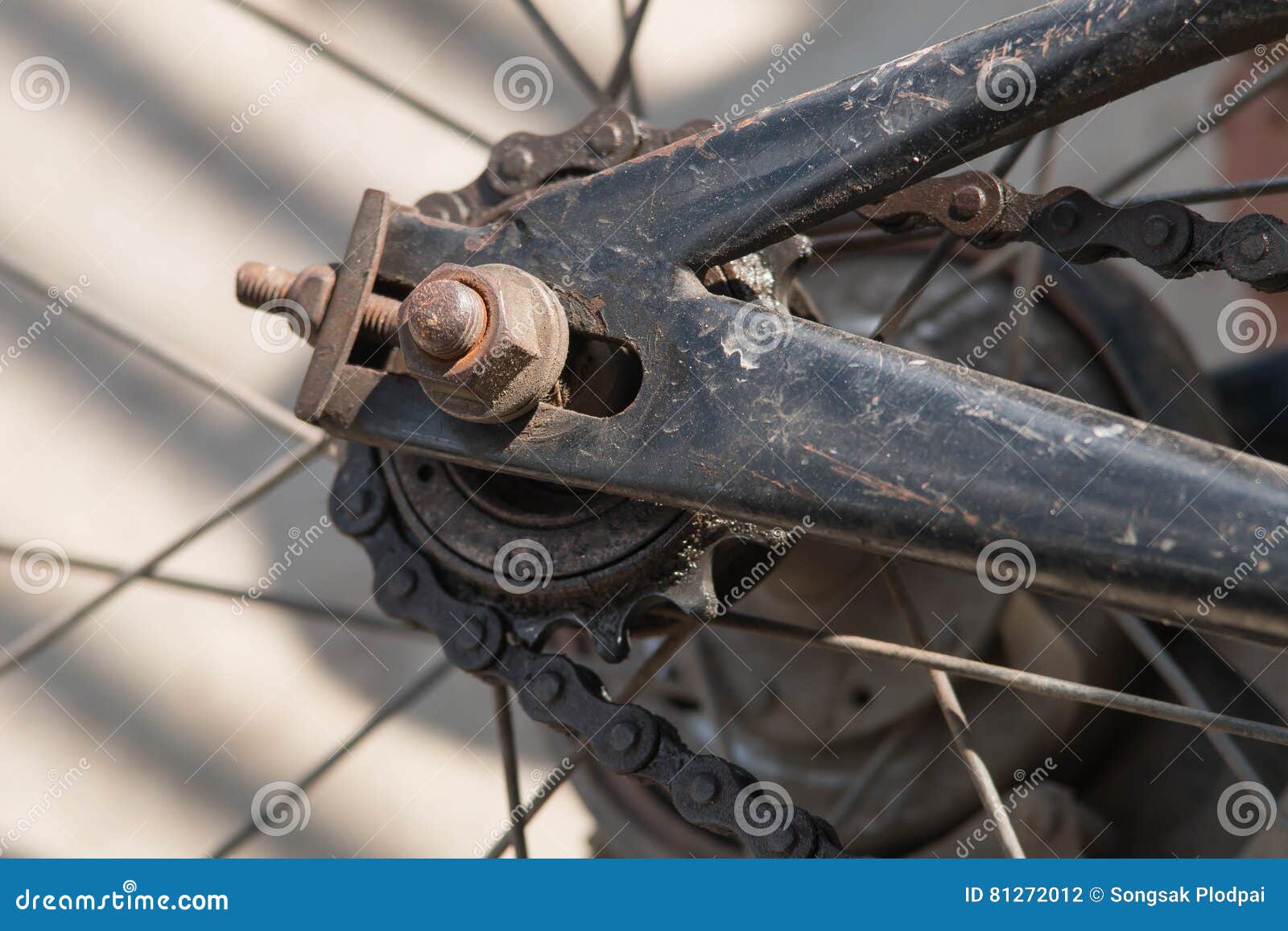 delicatesse raken artillerie Fiets Achterwiel En Aandrijvingsketen Close-up Stock Foto - Image of  cassette, sluit: 81272012