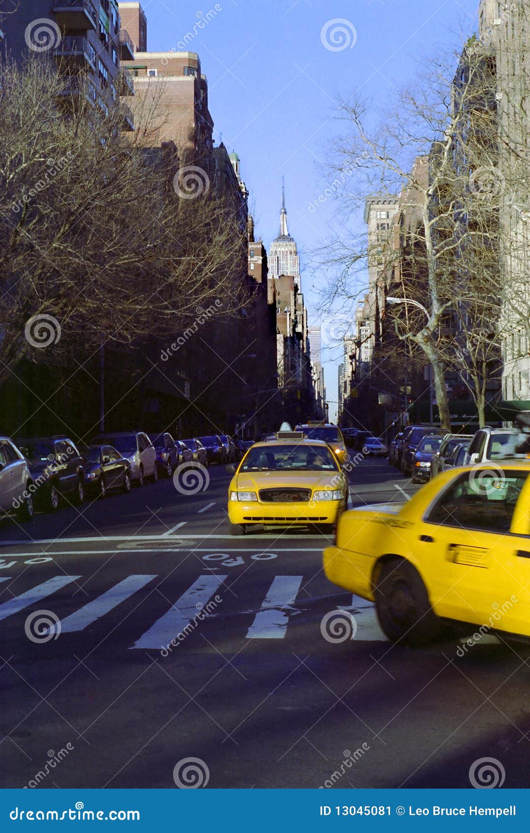 fifth avenue new york city cabs usa