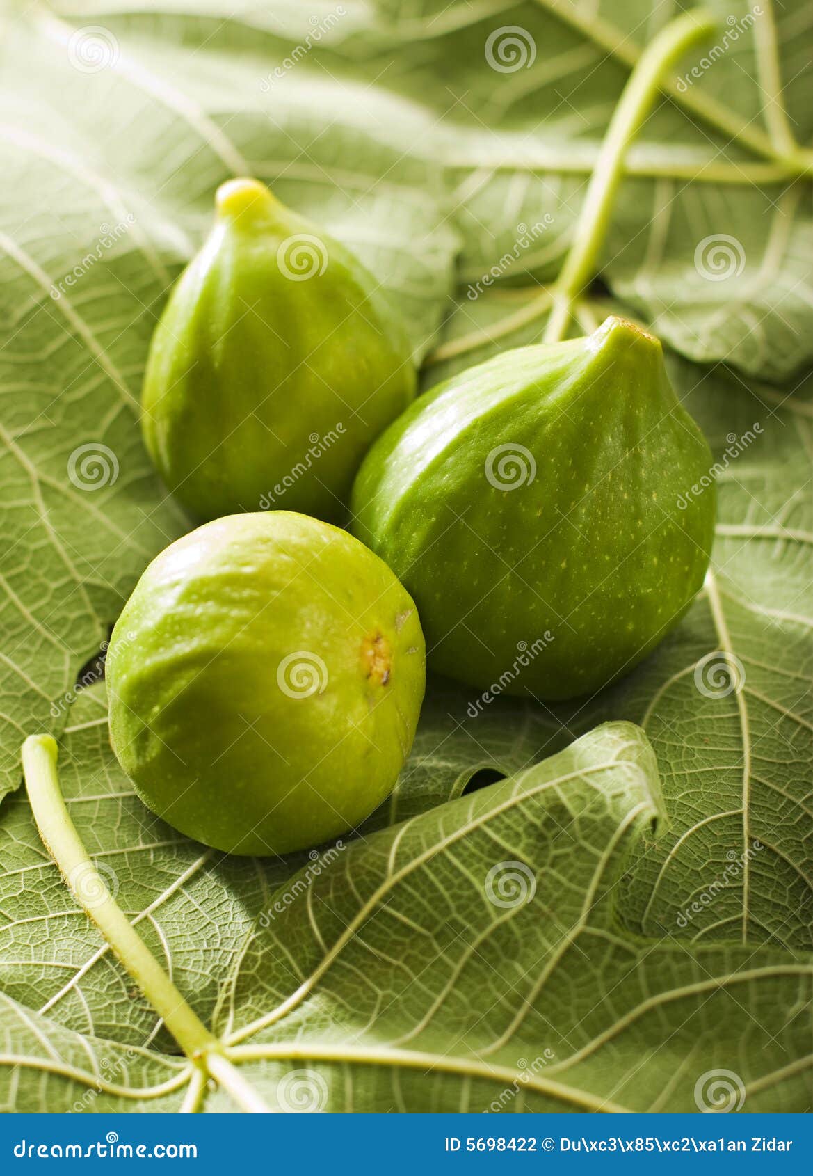 Fig stock photo. Image of food, tropical, fresh, vitamins 5698422
