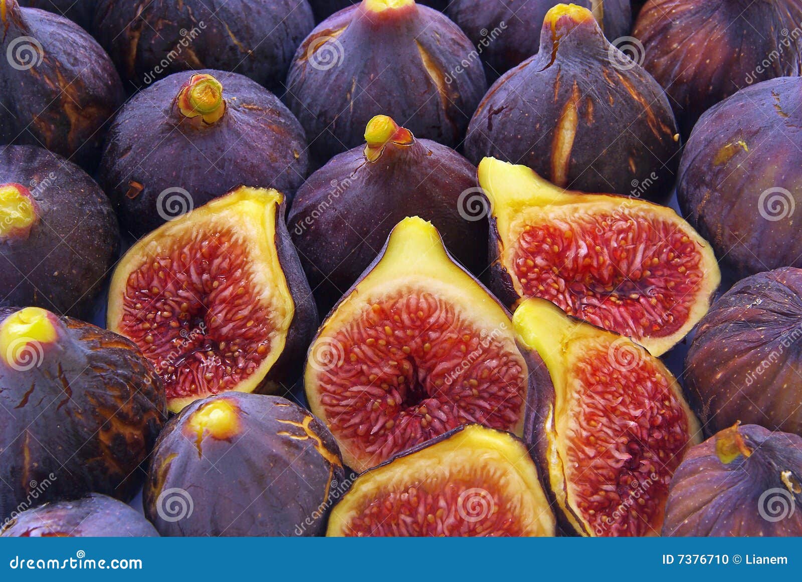 fig
