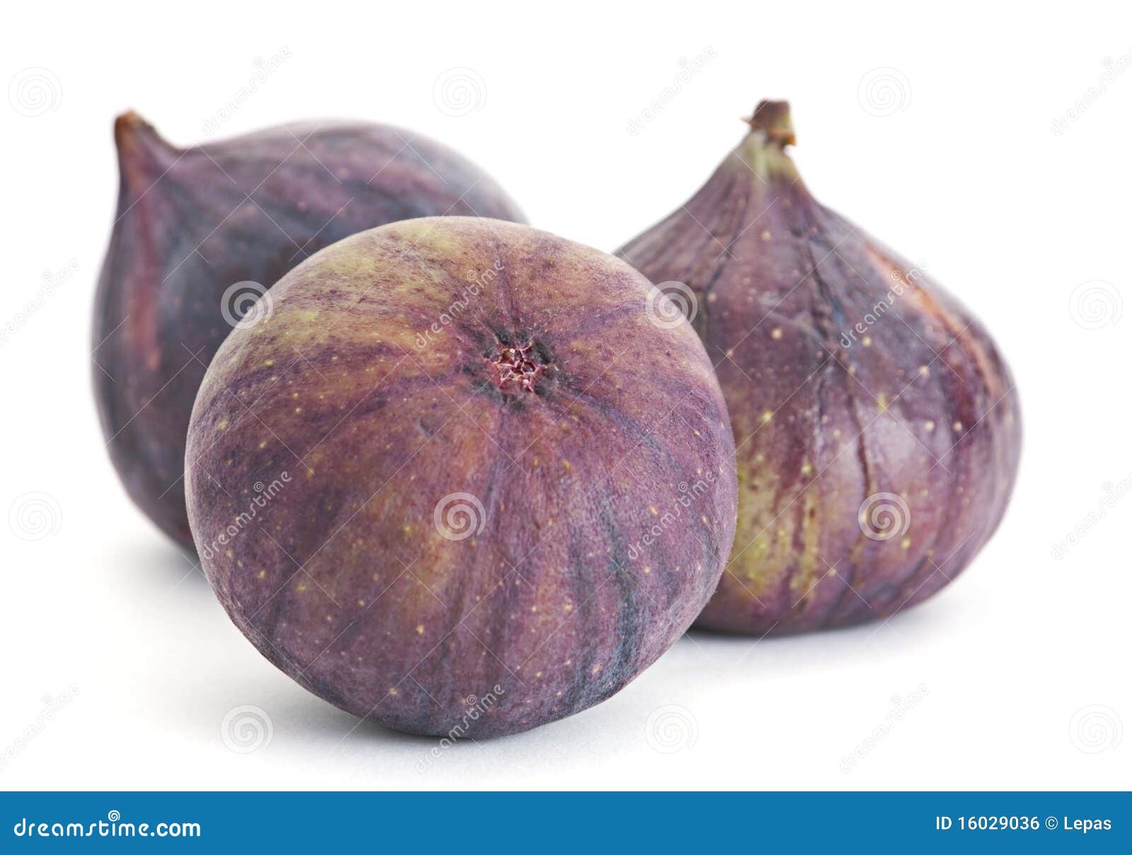 fig fruit