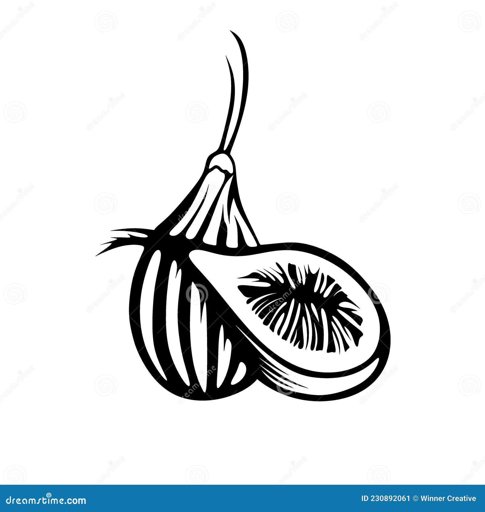 FIG Fruit Logo Design. Figs Fruit Vector Illustration Stock Vector