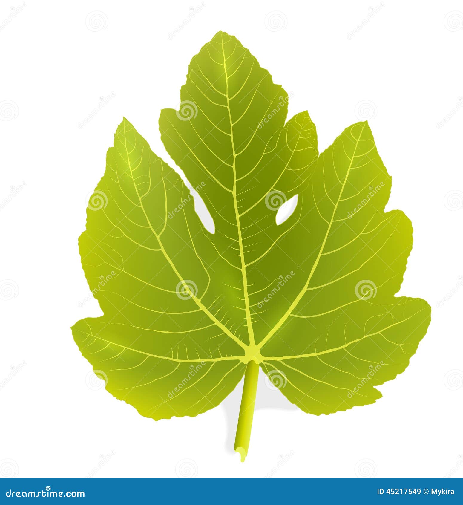 Fig leaf stock vector. Illustration of macro, group, gourmet 45217549