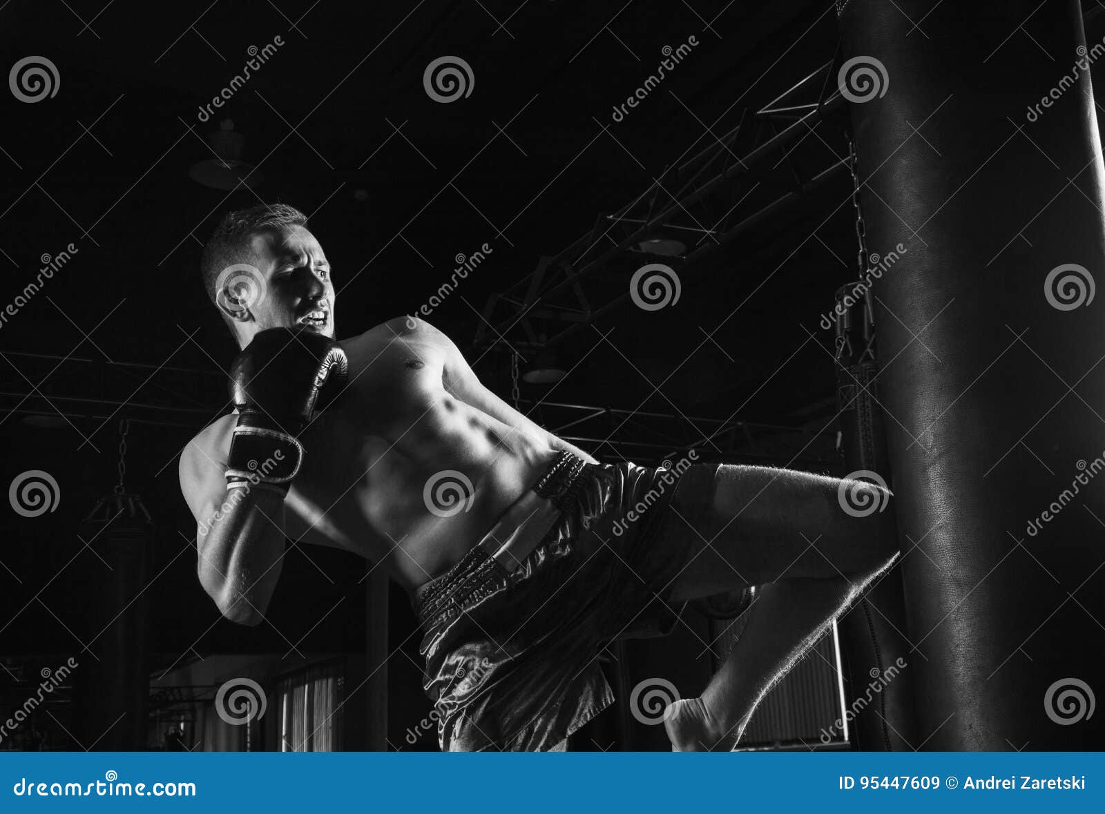 The Fighter of Mixed Martial Arts with a Shout is Hitting the Ba Stock