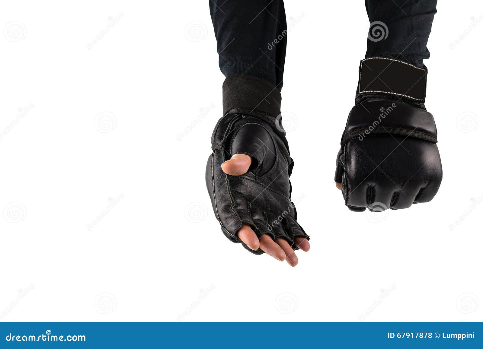Fighter S Hand in Gloves for Martial Arts Stock Photo Image of