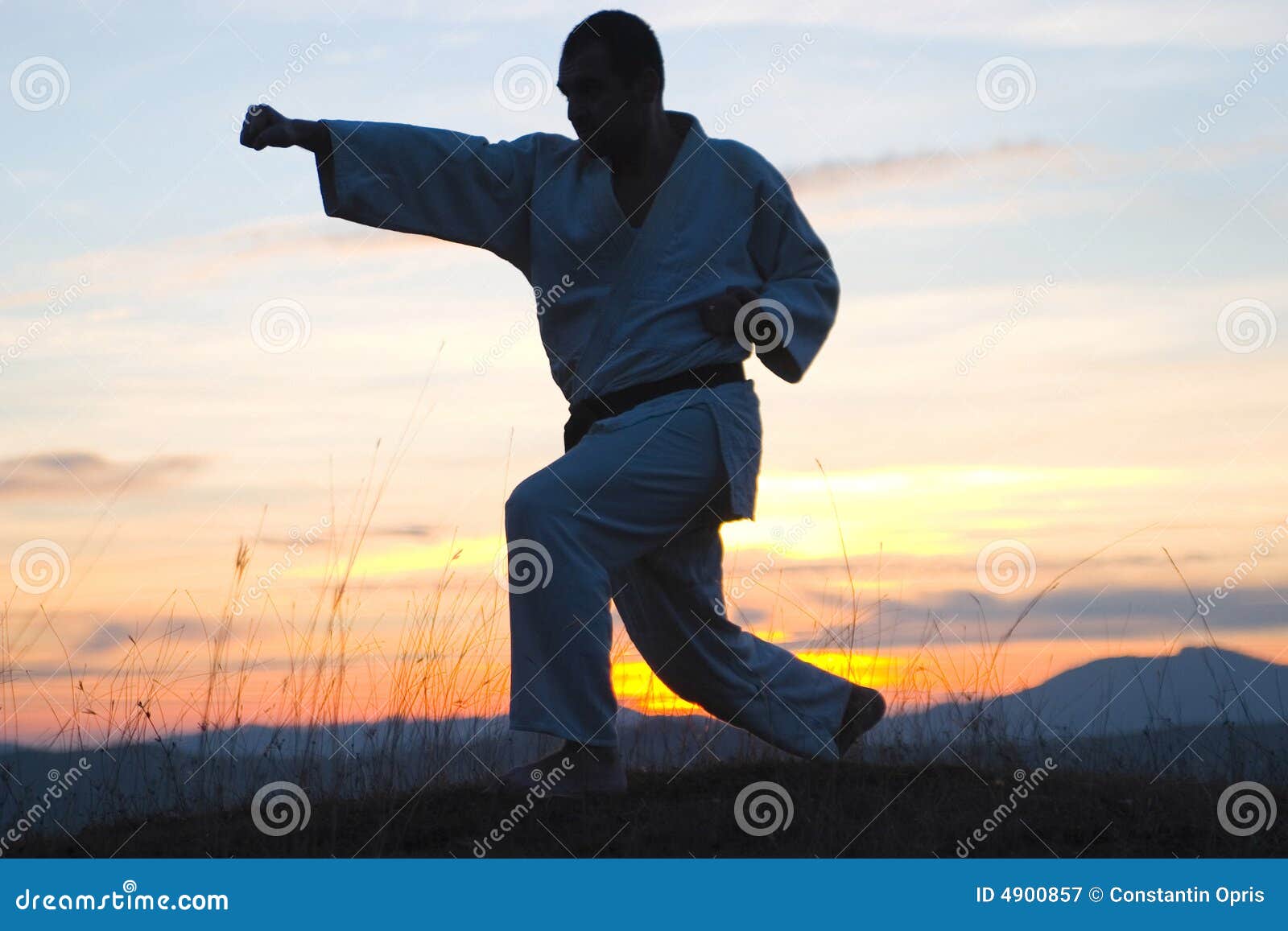 Fighter silhouette stock image. Image of sport, nature - 4900857