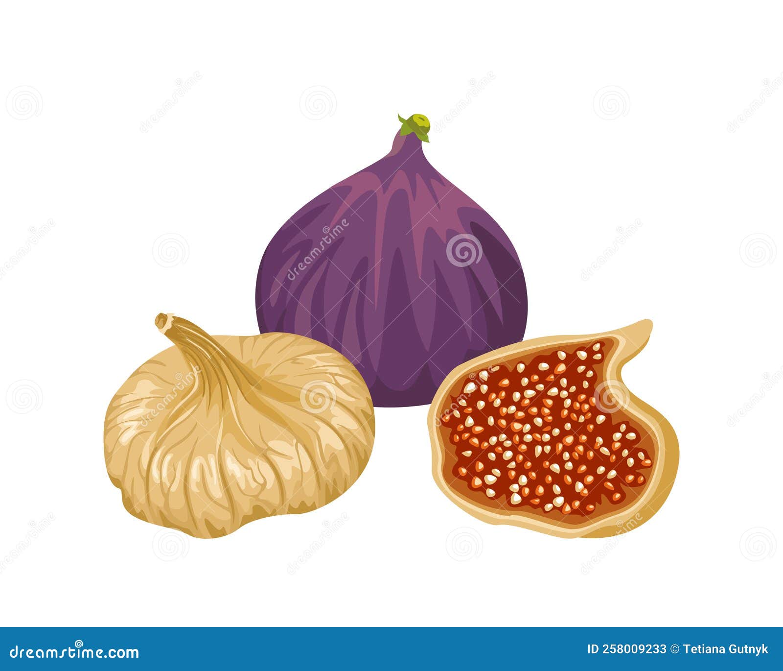 Figues Séchées Et Fruits Frais Isolés Sur Fond Blanc. Illustration