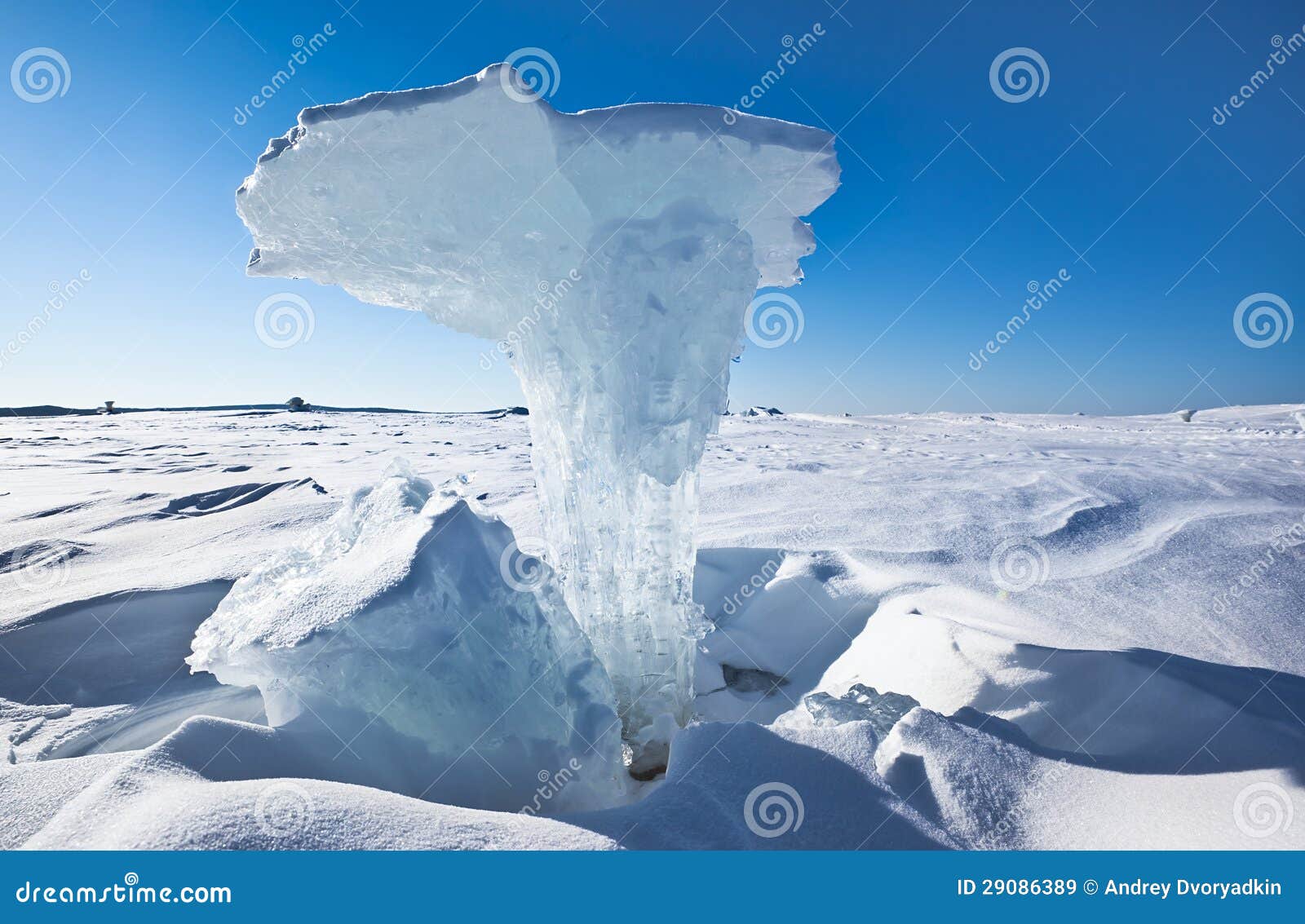 Figura del ghiaccio sul fiume nell'inverno un fungo