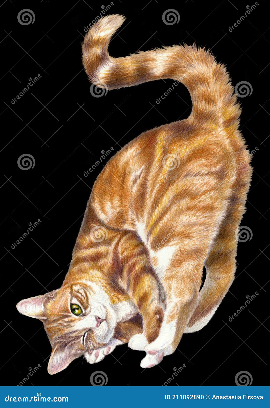 Desenho de Gato Preto pintado e colorido por Rafacorrei o dia 15 de Fevereiro do 2013