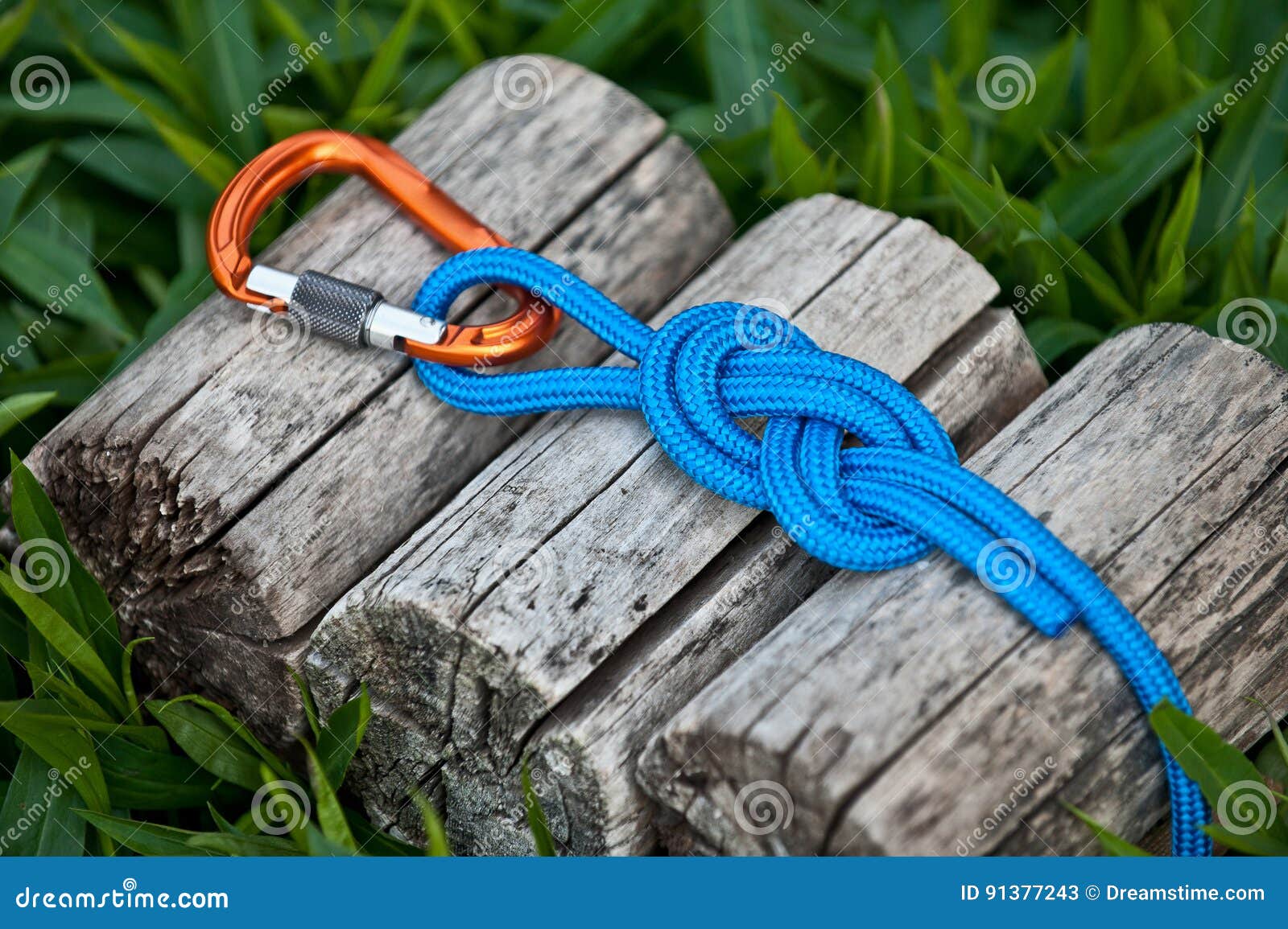 Figure Eight Knot with a Carabiner. Stock Image - Image of knot
