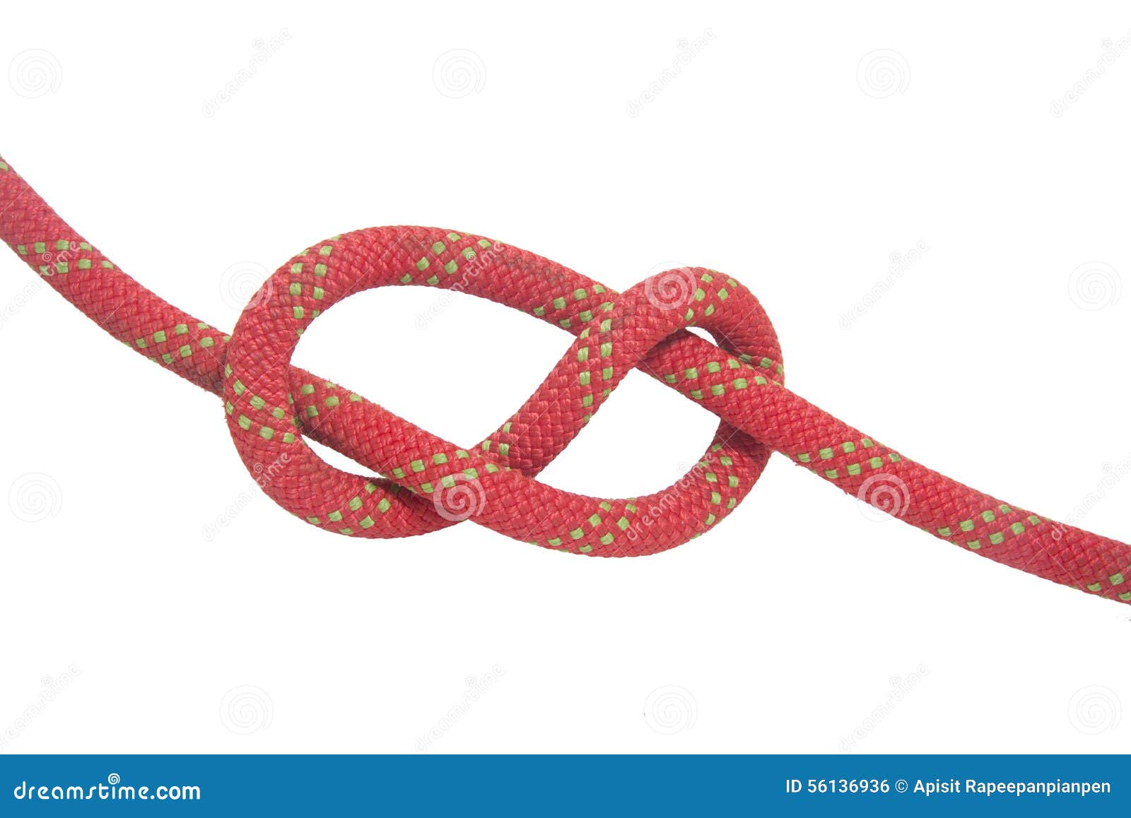 Figure 8 knot stock photo. Image of climbing, isolated 56136936