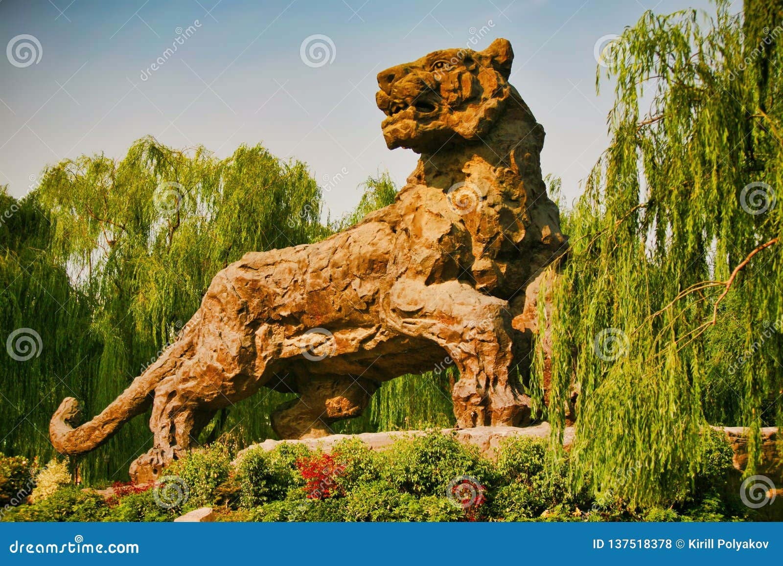 Tiger in beijing zoo china hi-res stock photography and images - Alamy