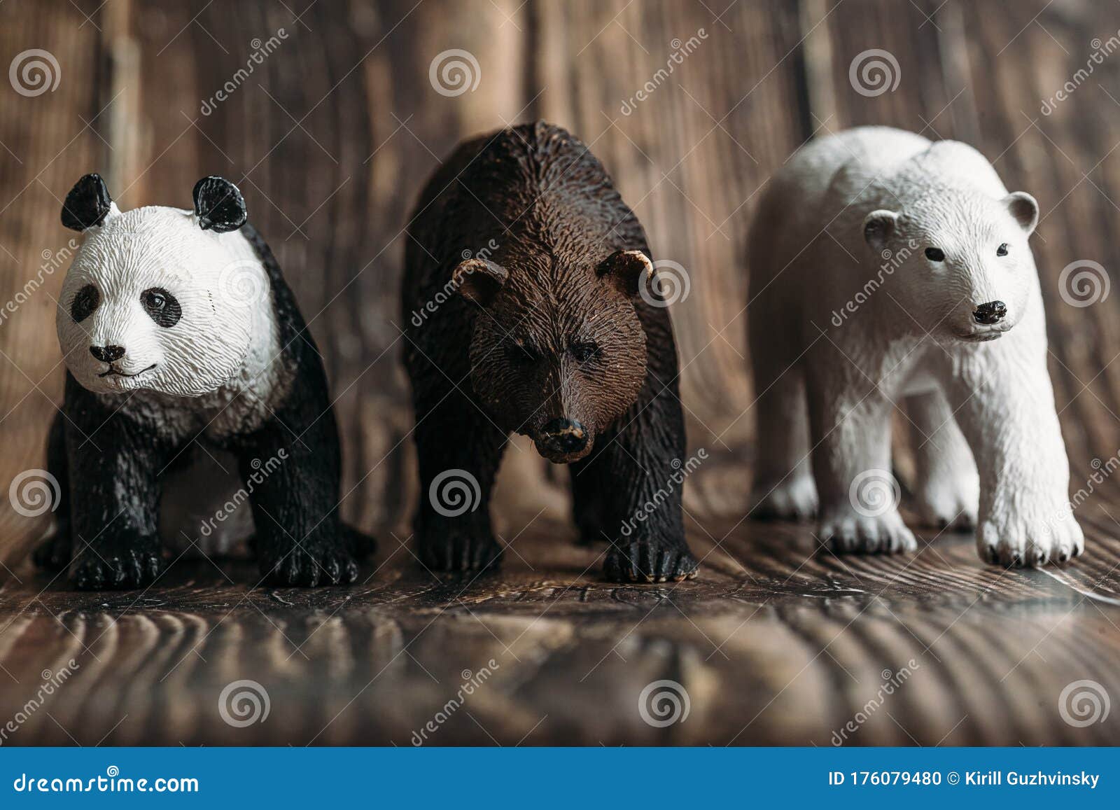 Pandabears world