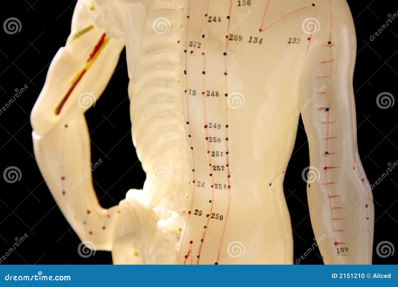 figure used in acupuncture 3