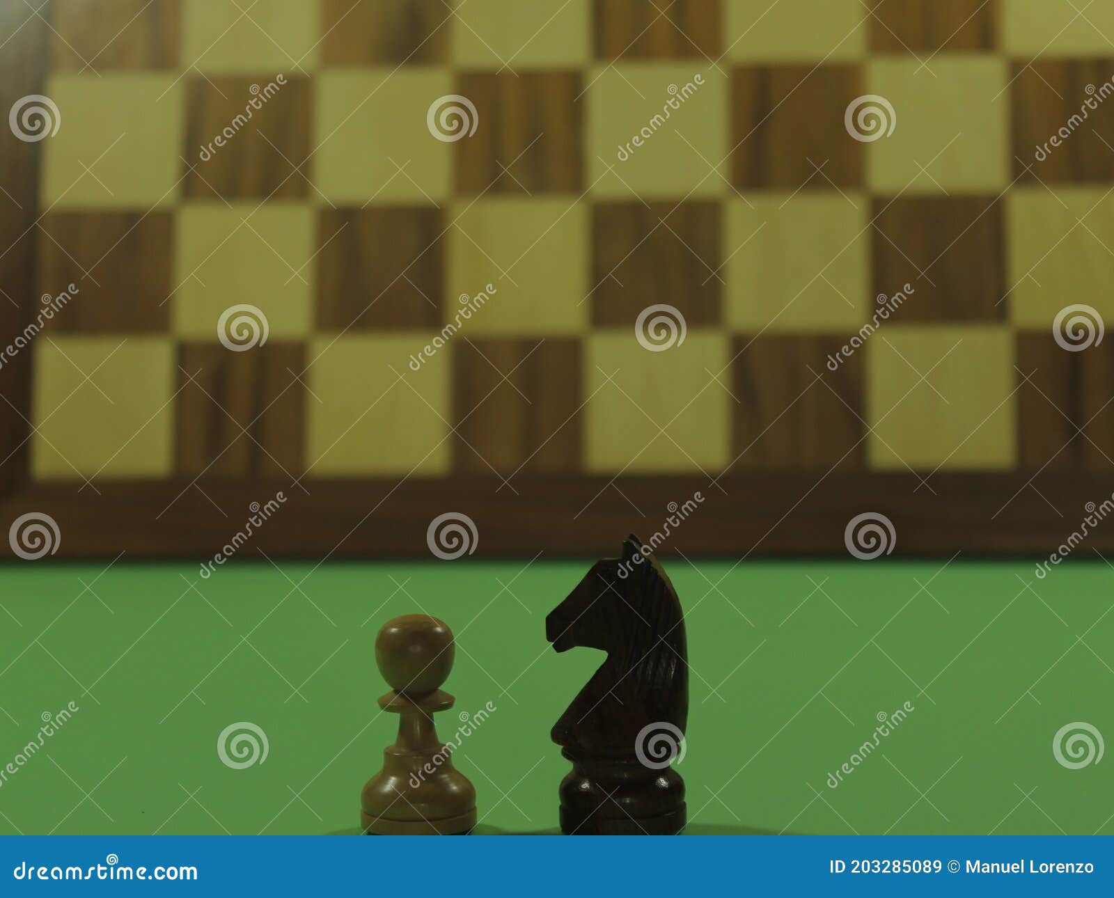 figures chess plays checkmate fun intelligence king horse bishop tower pawn