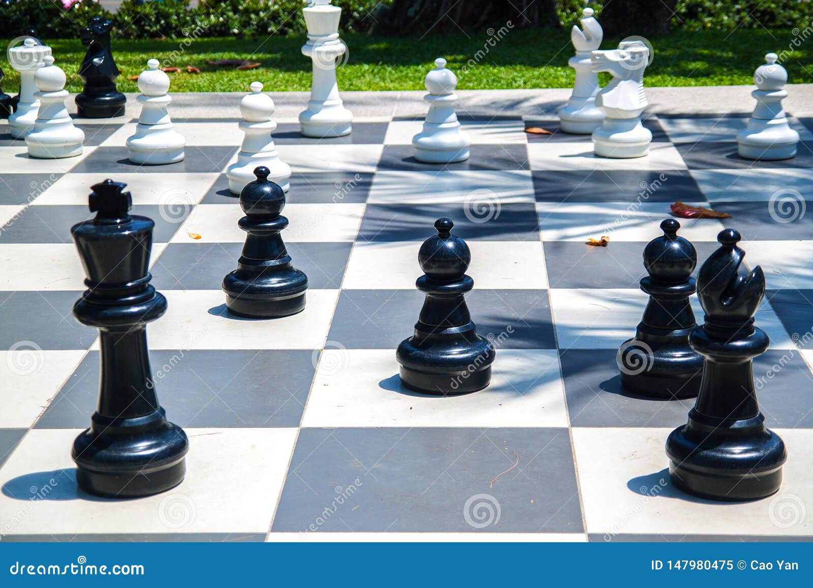 Figures for Game in Chess on the Nature. Stock Image - Image of chess, intelligence: