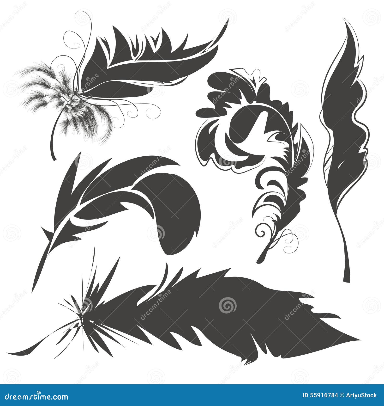 Fije Las Plumas De Pájaro Para Dibujar Ilustración del Vector - Ilustración de mullido, bosquejo: 55916784 Fije Las Plumas De Pájaro Para Dibujar Ilustración del Vector - Ilustración de mullido, bosquejo: 55916784