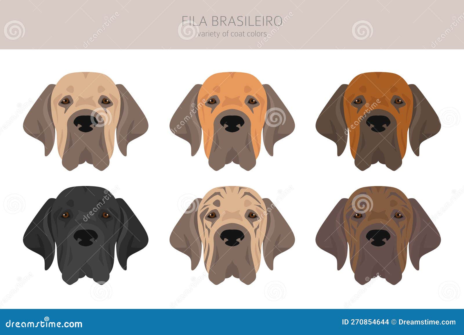 Brazilian Mastiff Fila Brasileiro Dog Stock Illustrations – 32 Brazilian  Mastiff Fila Brasileiro Dog Stock Illustrations, Vectors & Clipart -  Dreamstime