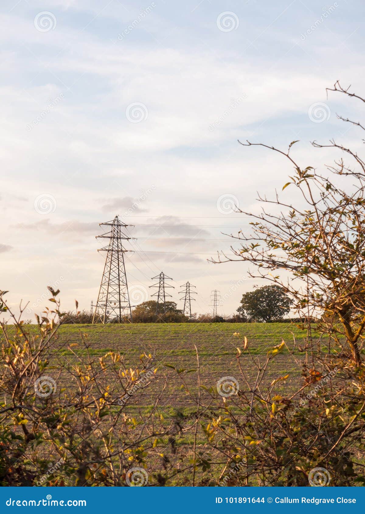 Fila dei piloni di elettricità di agricoltura lontana dell'azienda agricola del campo di distanza; Essex; L'Inghilterra; Il Regno Unito