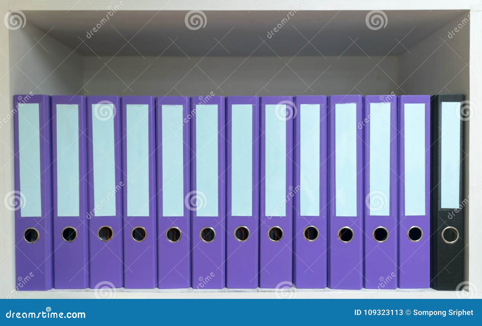 File Folder Papers Placed on Documents Stock Image Image of