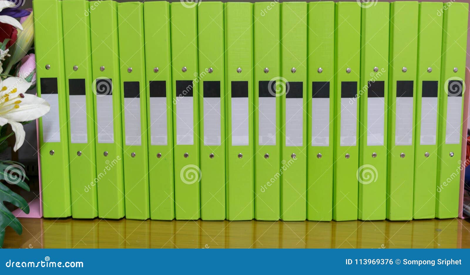 File Folder Papers Placed on Documents Stock Photo Image of