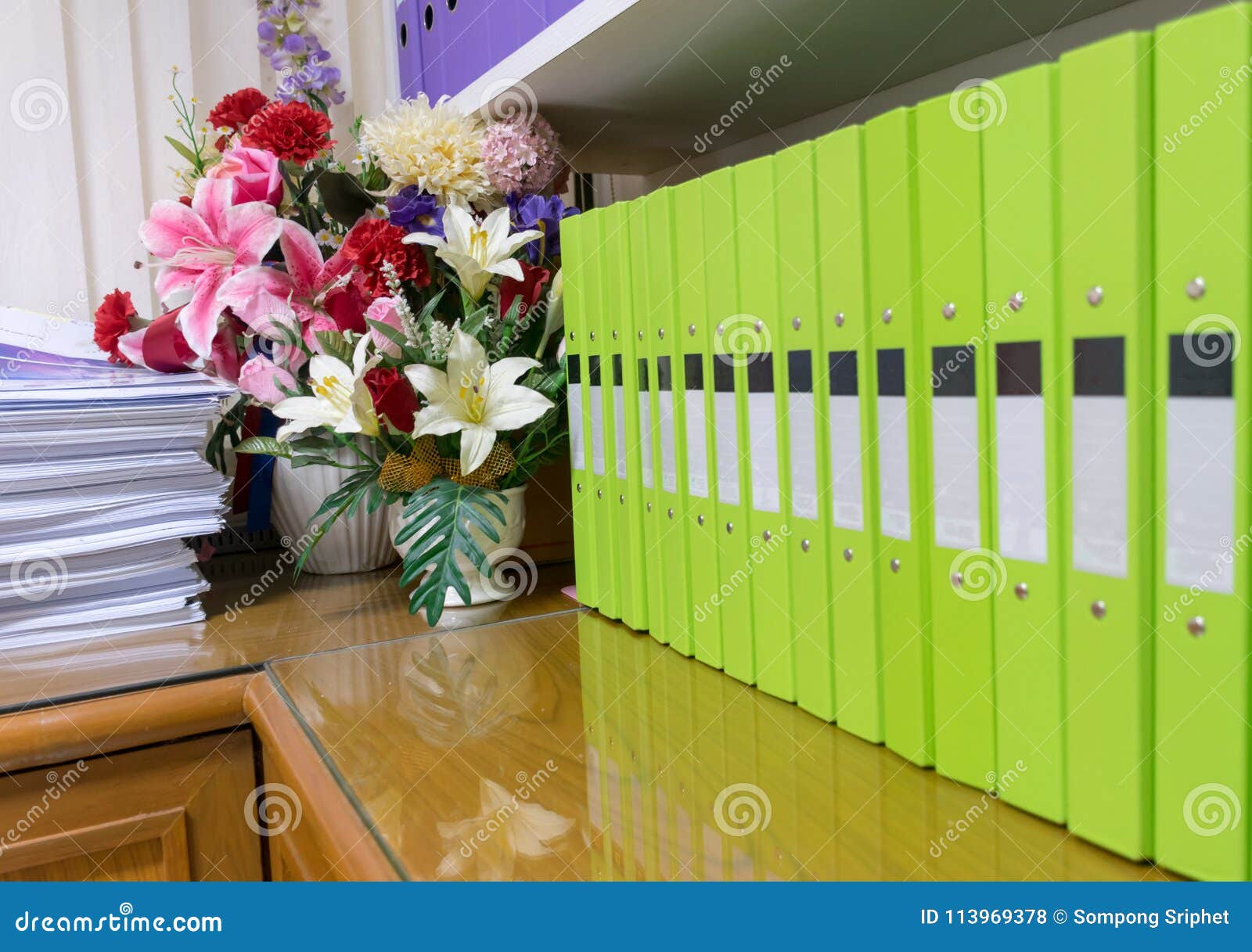File Folder Papers Placed on Documents Stock Photo Image of