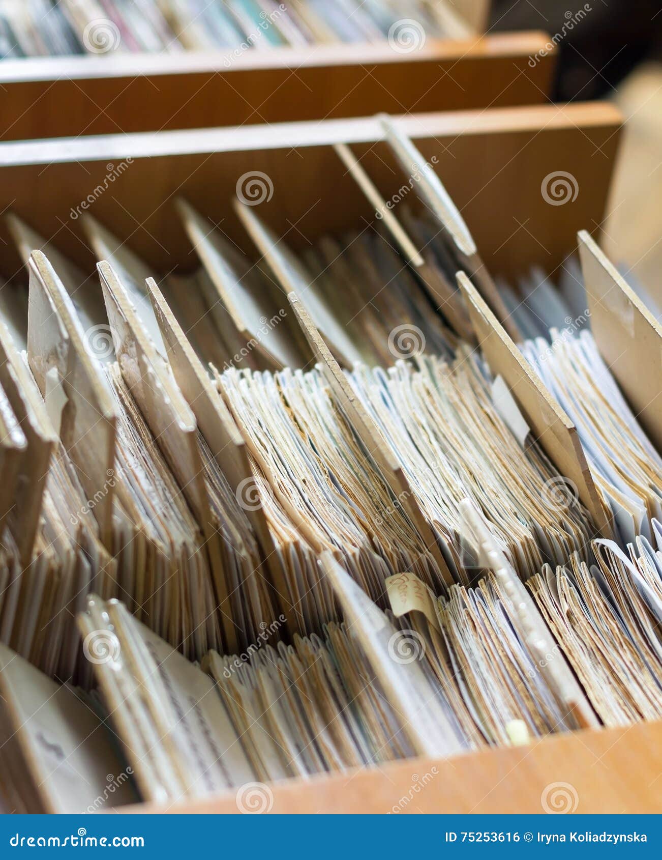 File Folders in a File Card Catalog in a Library, Close Stock