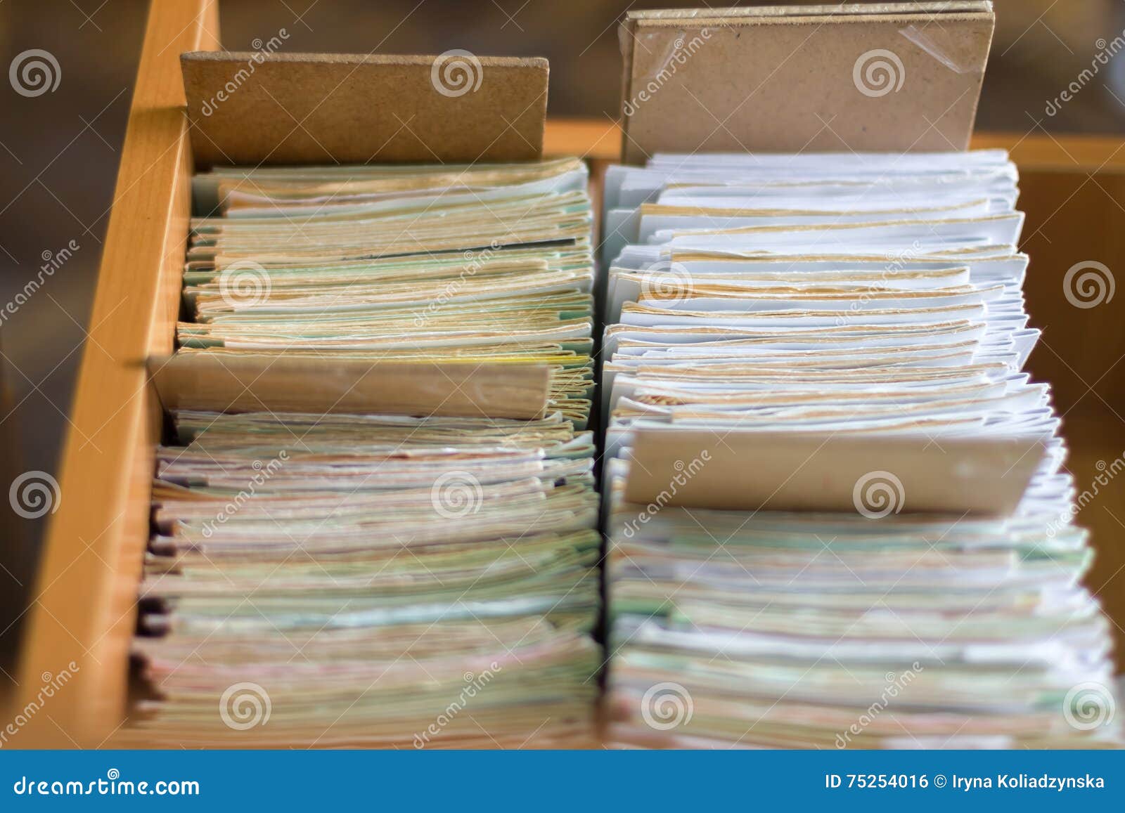 File Folders in a File Card Catalog in a Library, Close Stock