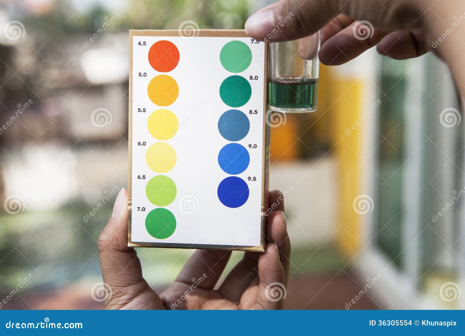 File of Hand Holding Water Ph Testing Test Comparing Color To in Stock