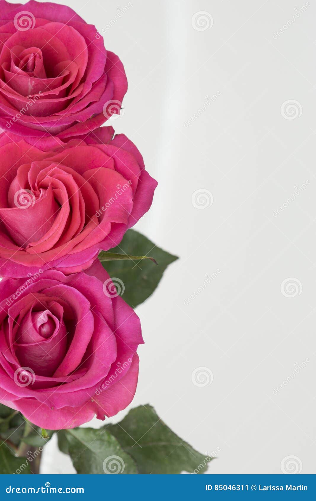 🍑Elevação Pélvica🍑 Curte, comenta, salva e compartilha. #gym #Verao  #gluteos #glutes #elevacaopelvica #bbb23 #quads #qudriceps #posteriordecoxa, image size:1067x1690