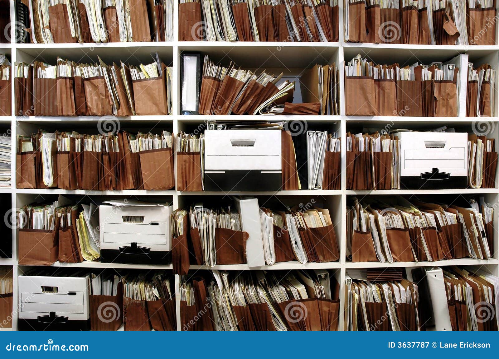 files on shelf