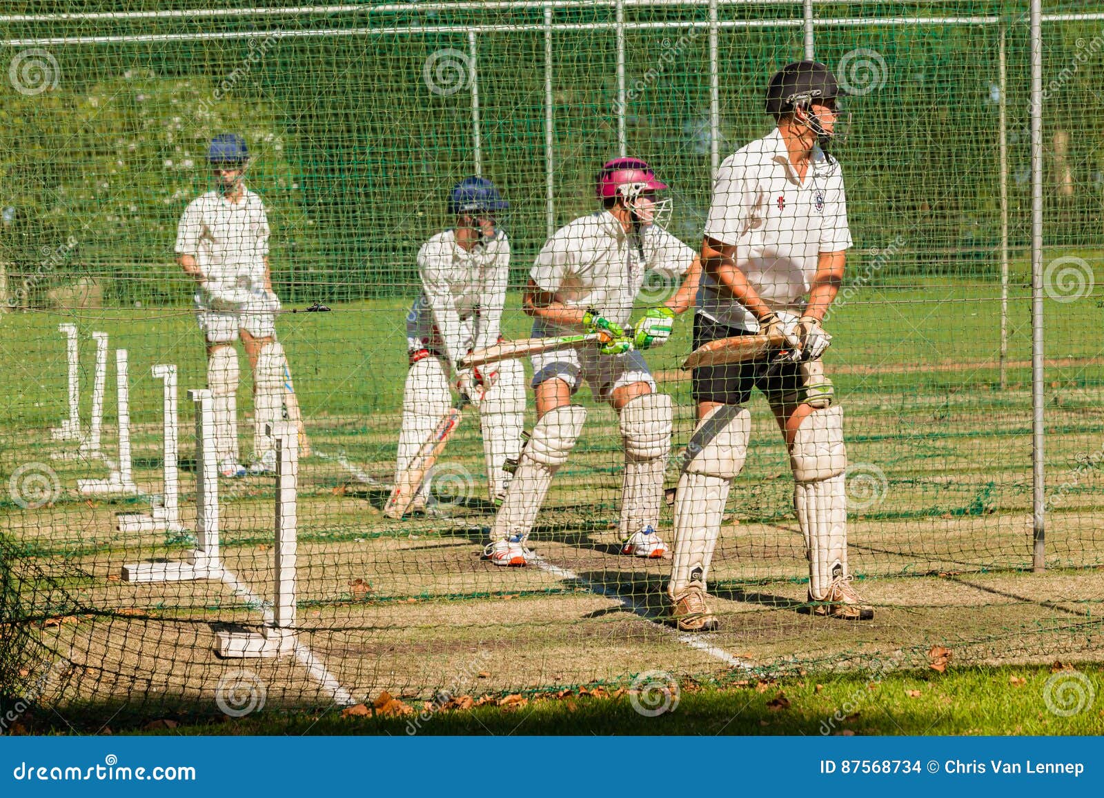 Filets D'exercice De Bat De Joueurs De Cricket Image stock éditorial -  Image du action, sport: 87568734