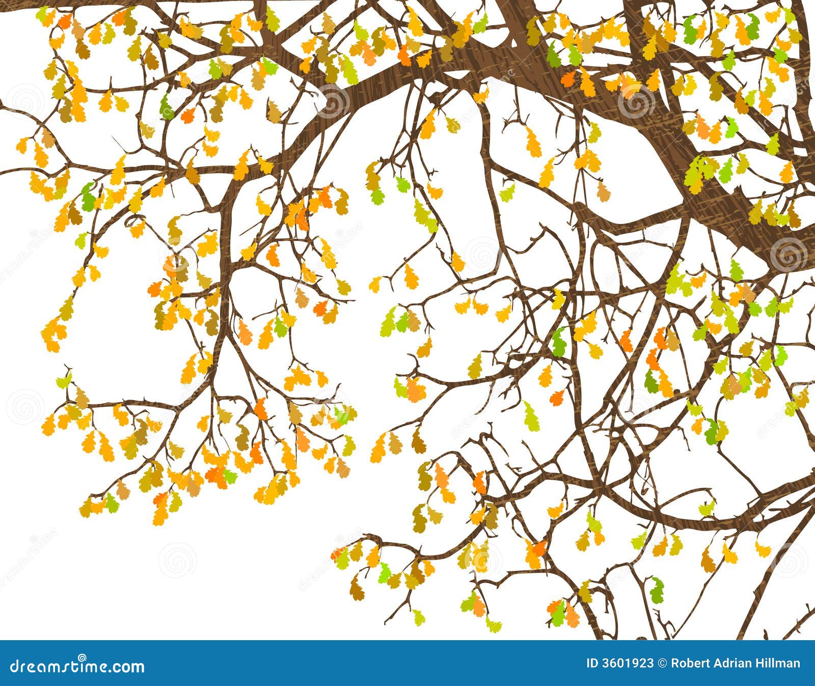 Illustrazione Editable di vettore delle filiali di albero e dei fogli di autunno