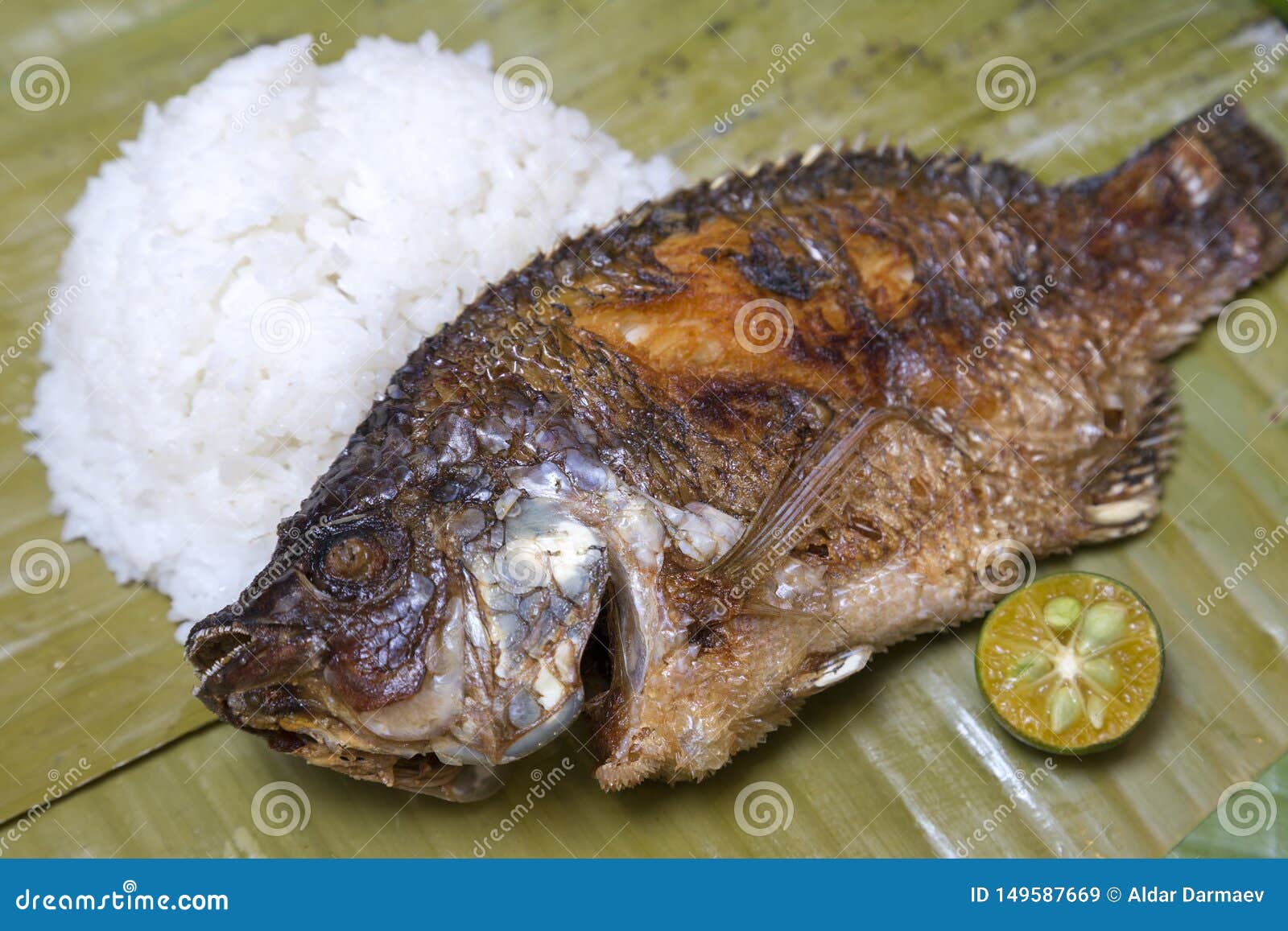 Filipino Traditional Dish: Fried Philippine Tilapia Fish with Rice