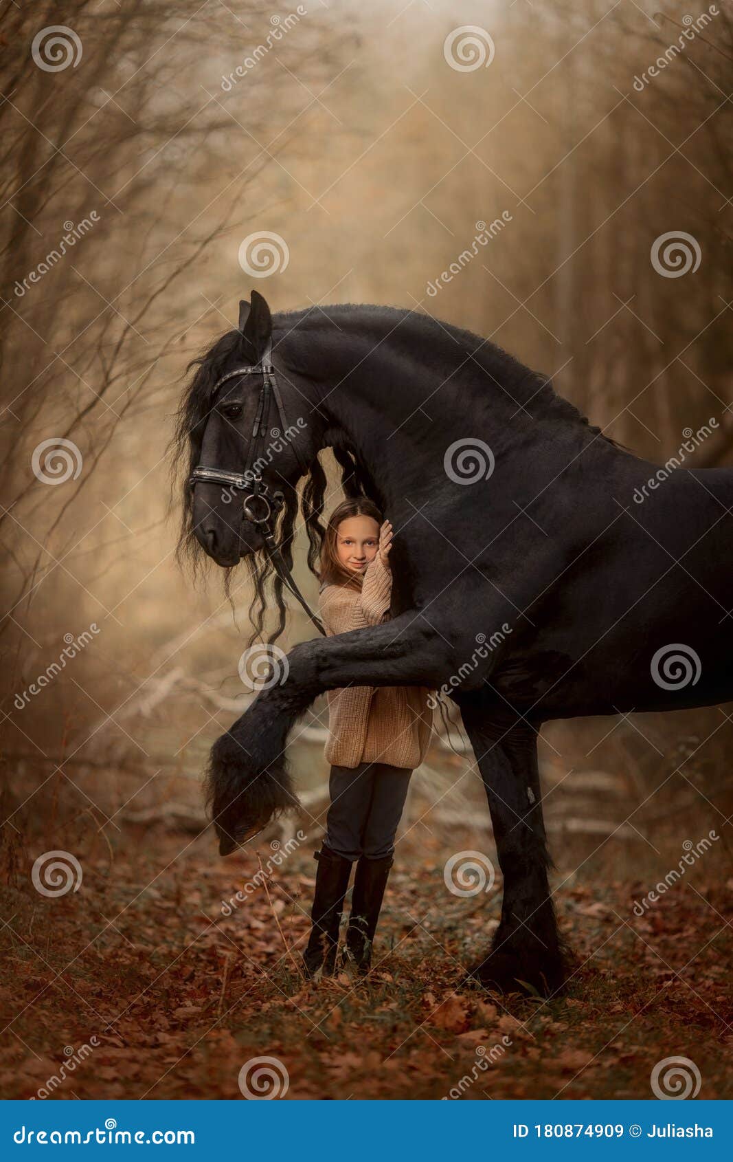 Fille avec le cheval photo stock. Image du brun, pré - 39953880