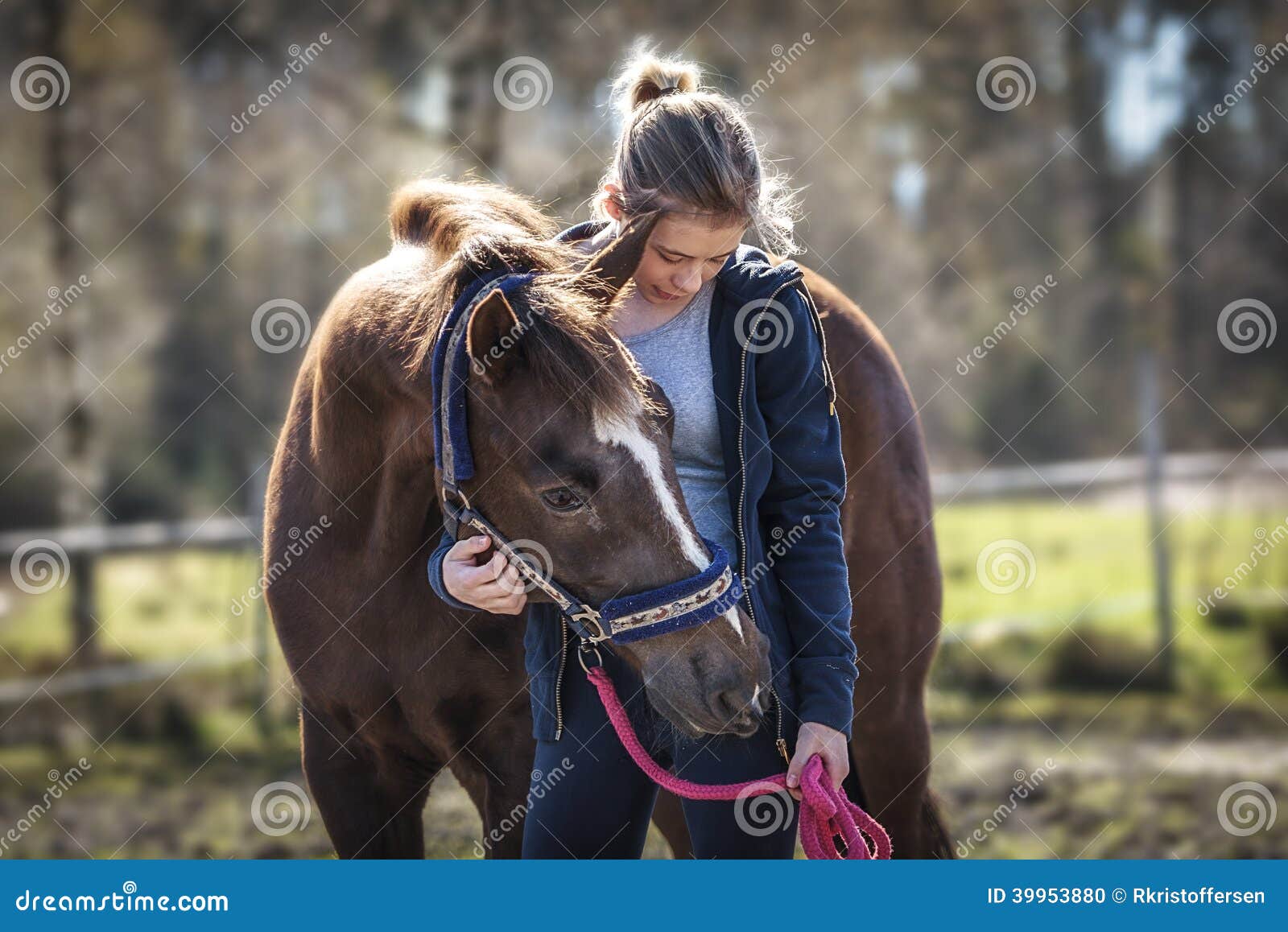 Fille avec le cheval photo stock. Image du brun, pré - 39953880