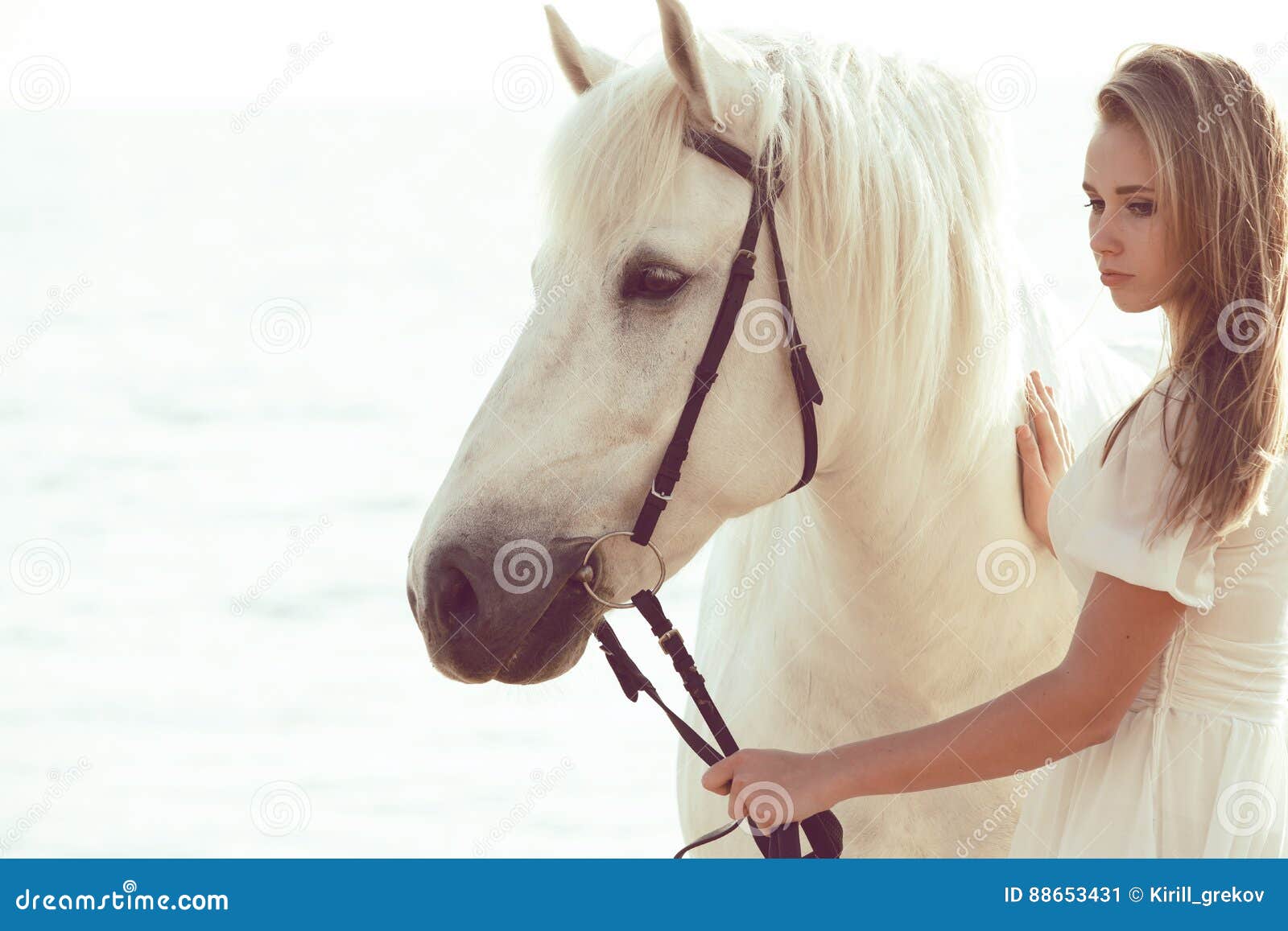 Fille Dans La Robe Blanche Avec Le Cheval Sur La Plage Image stock
