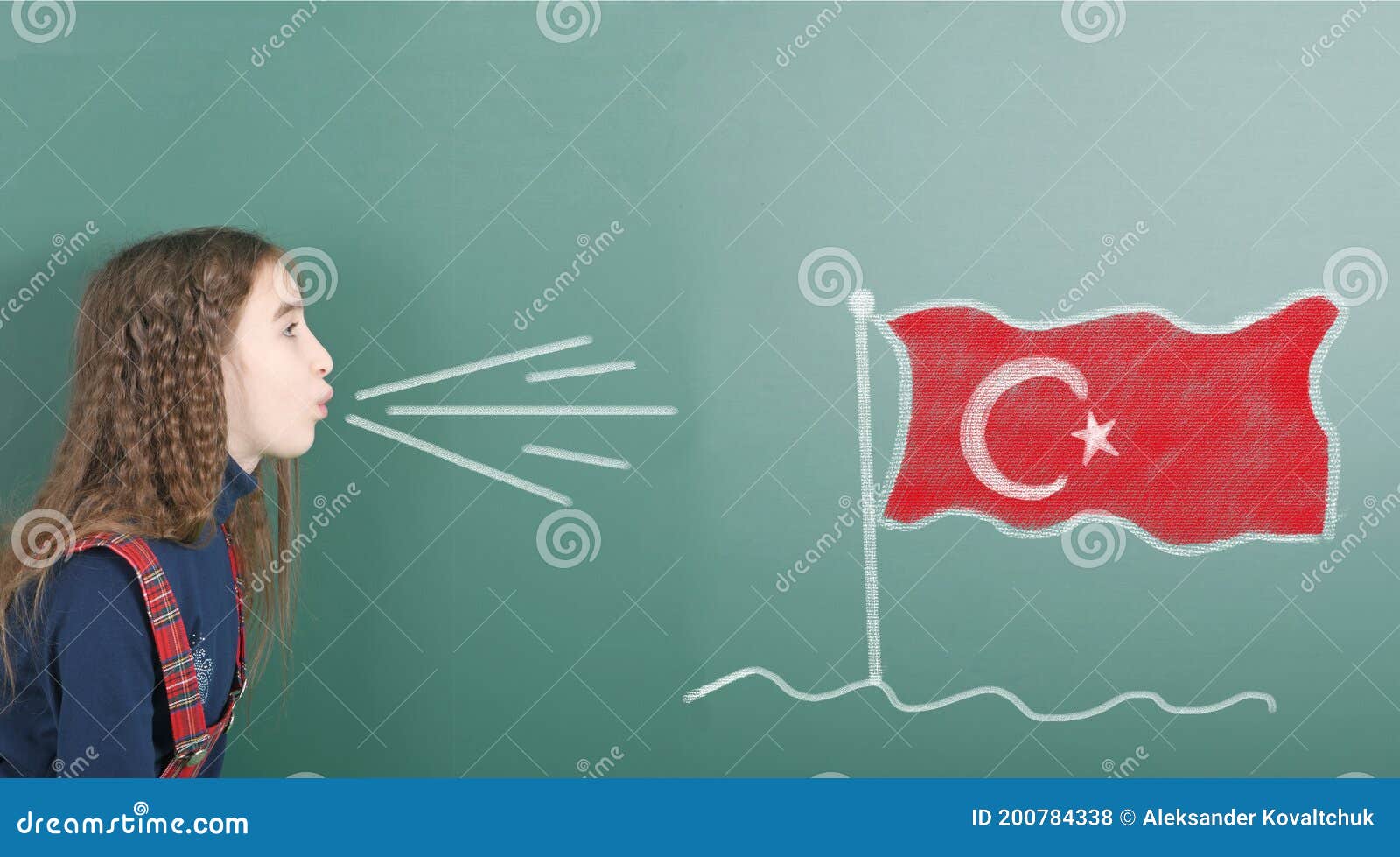 Tableau drapeau turquie